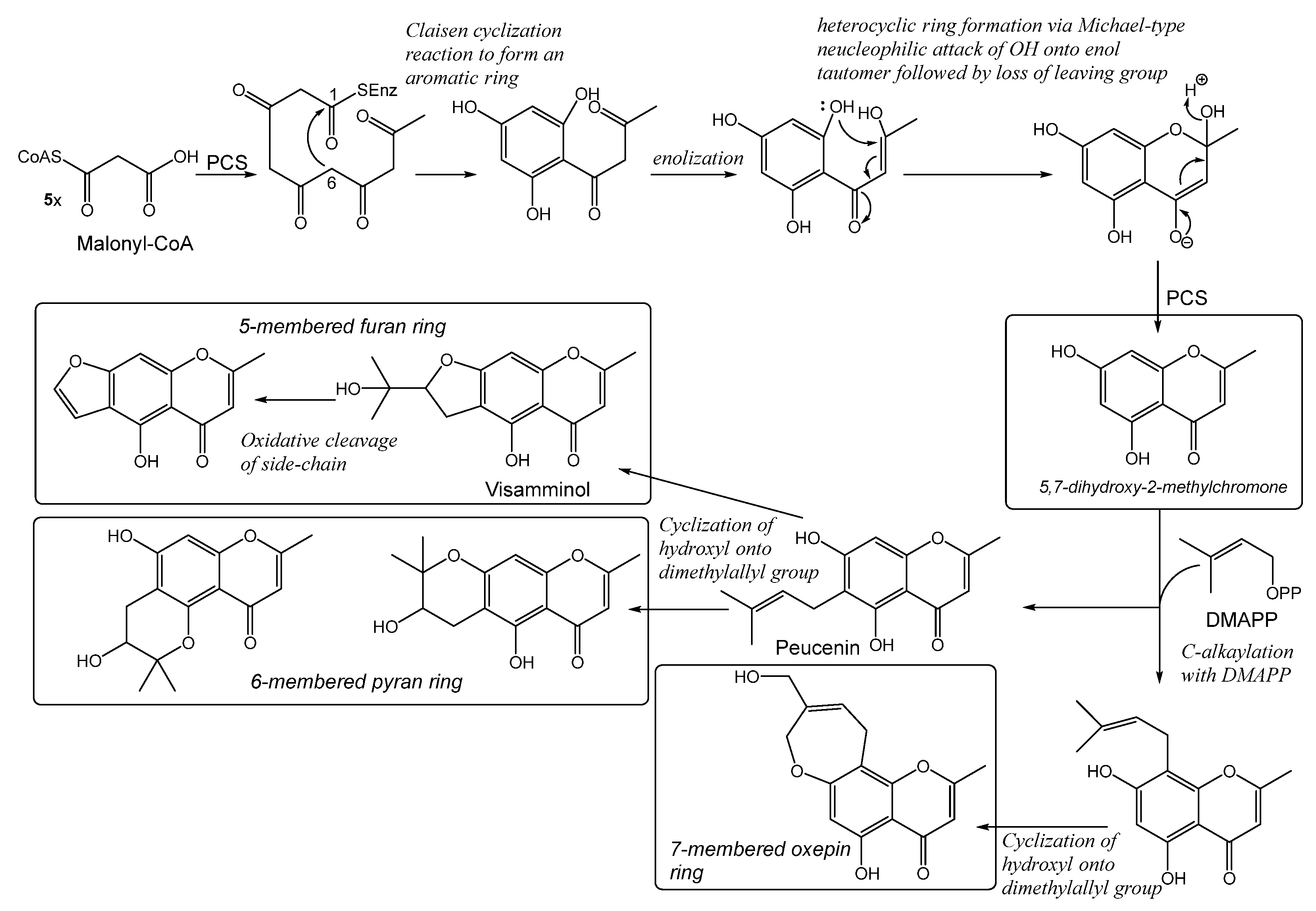 Molecules 26 07646 sch001 Molecules 26 07646 sch001