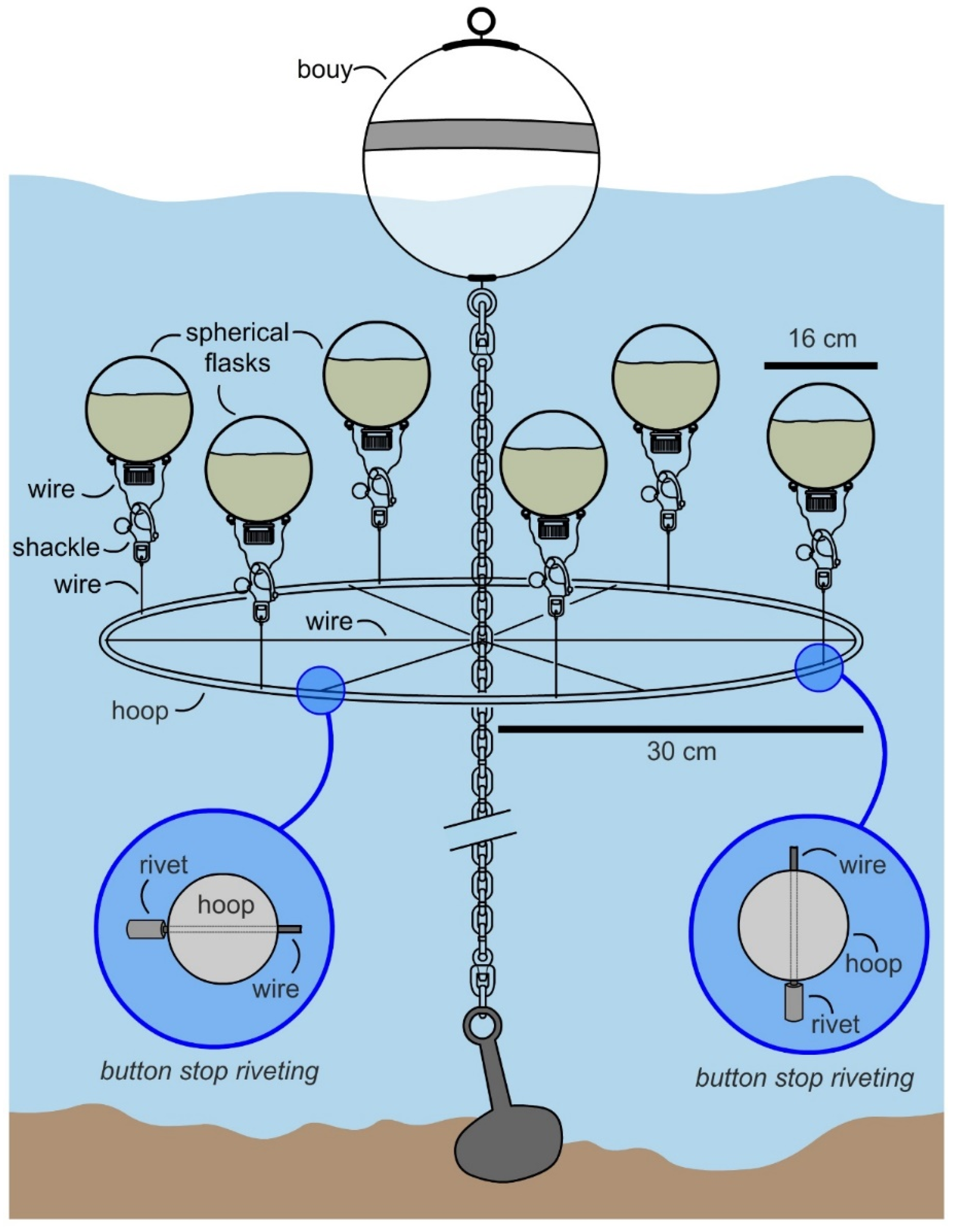 Molecules 26 07649 g004