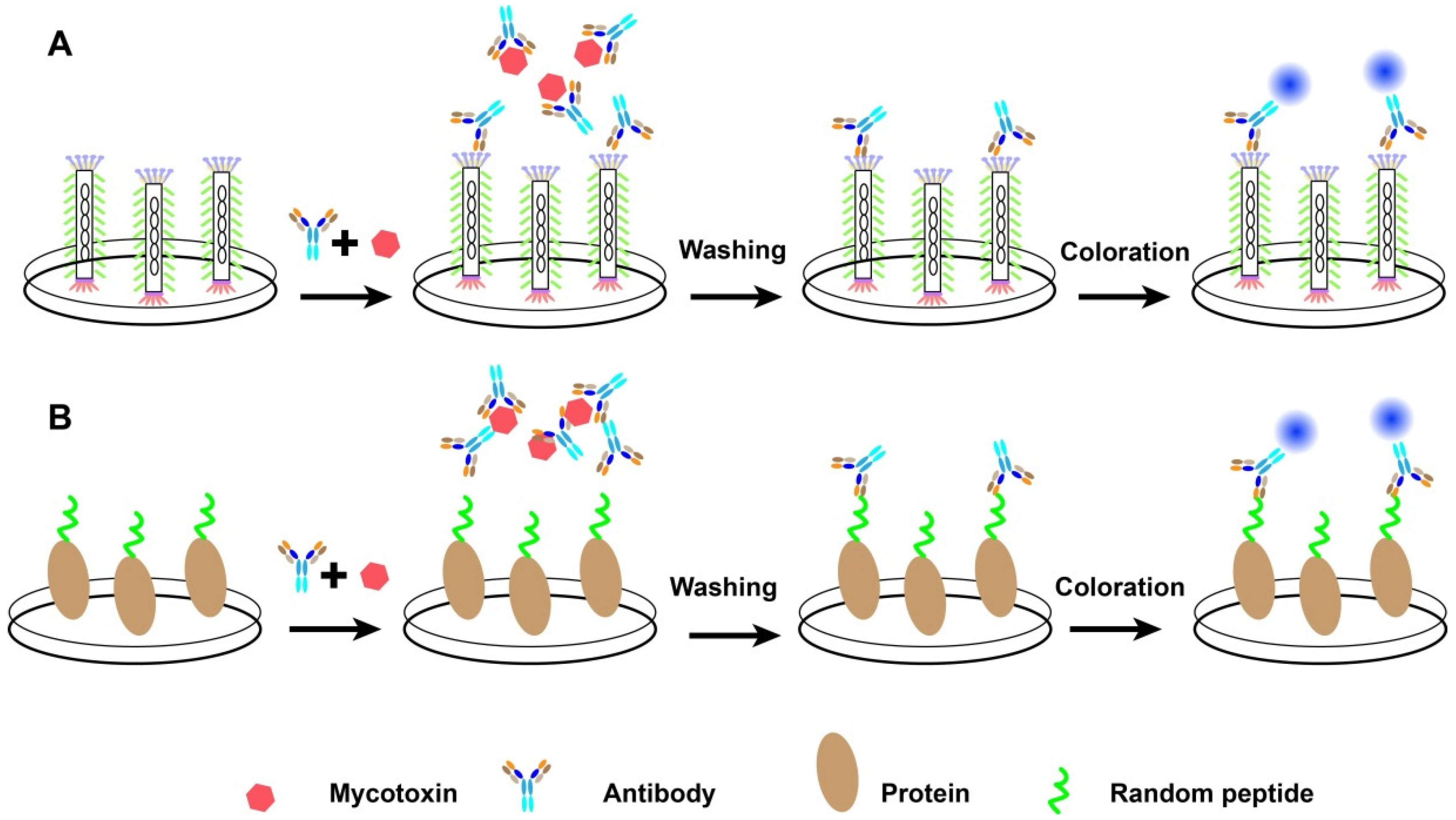 Molecules 26 07652 g002