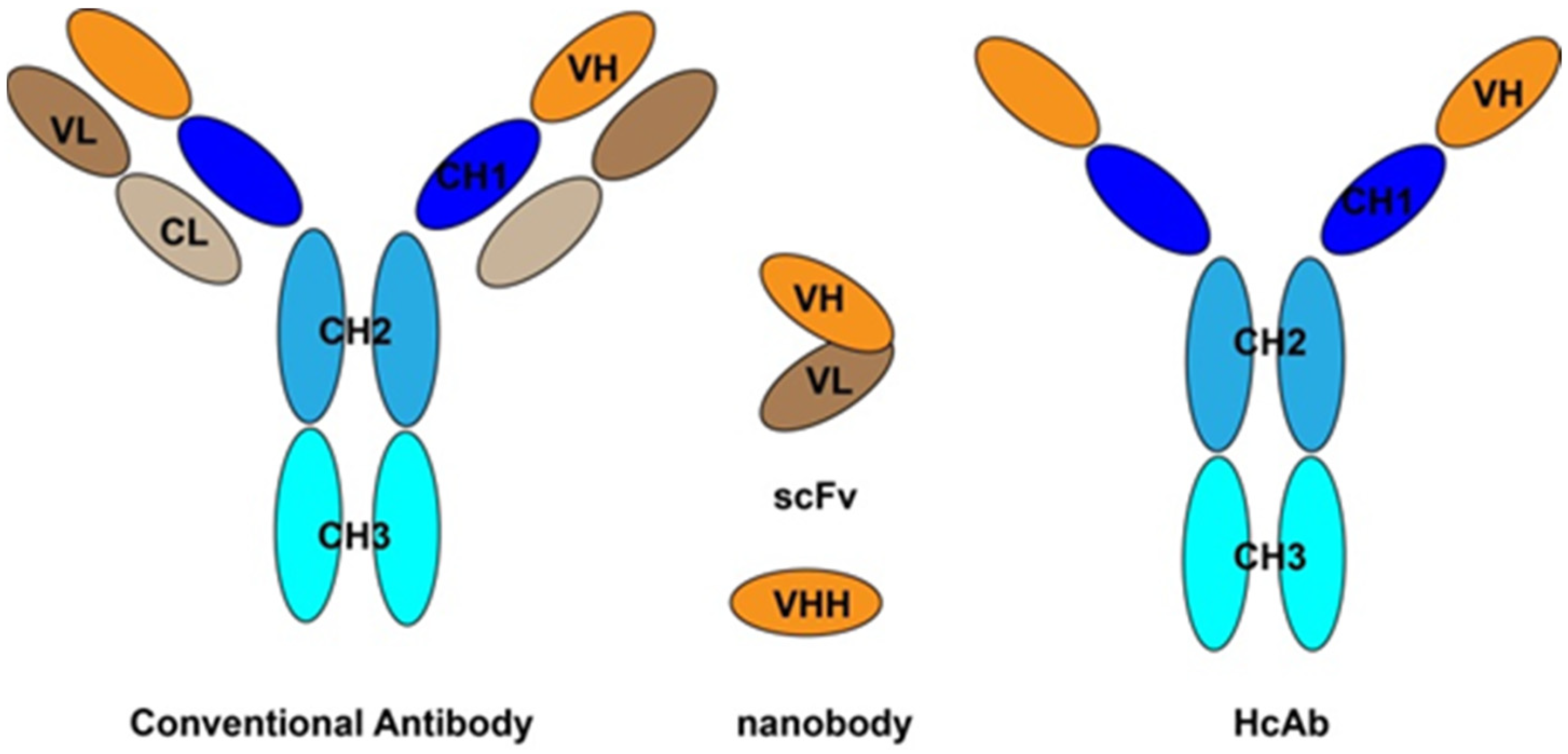 Molecules 26 07652 g003