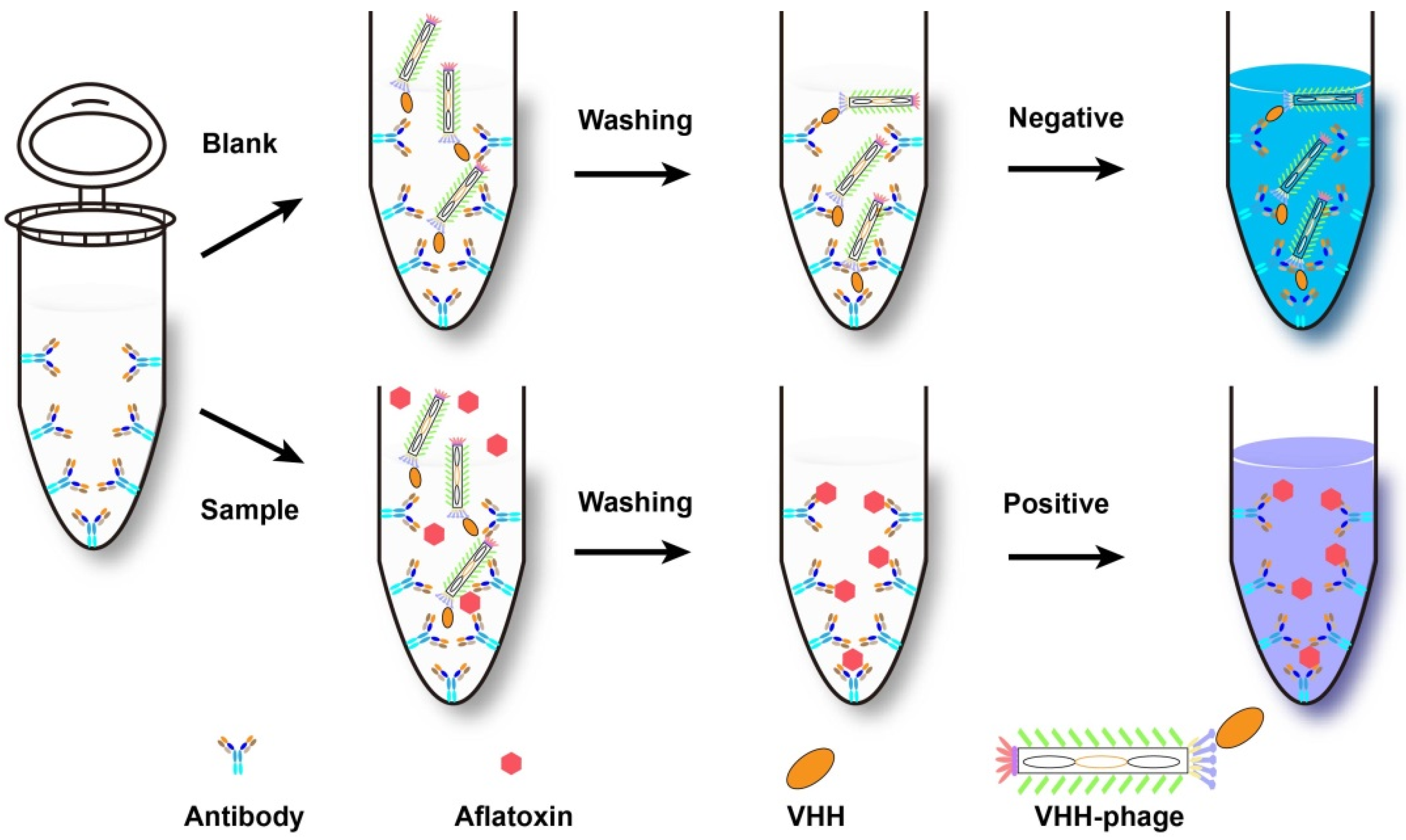 Molecules 26 07652 g005