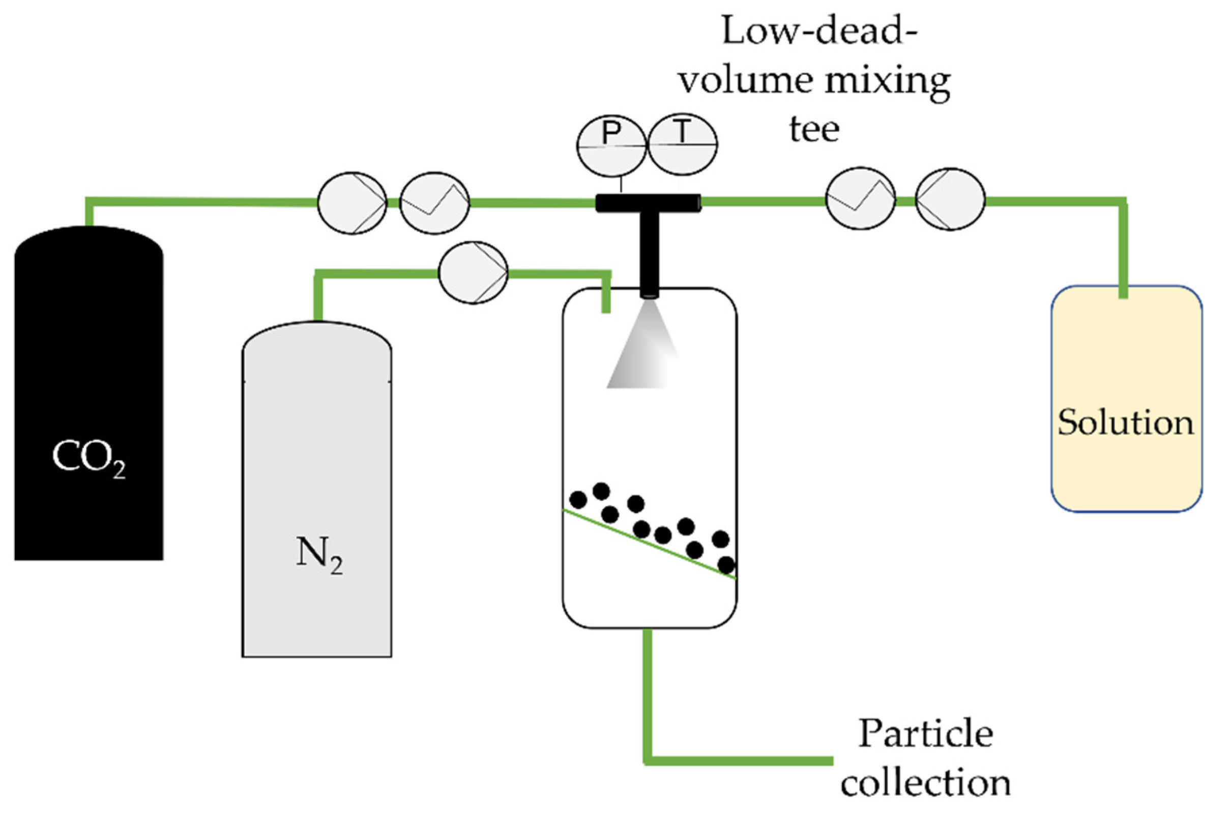 Molecules 26 07653 g004 Molecules 26 07653 g004