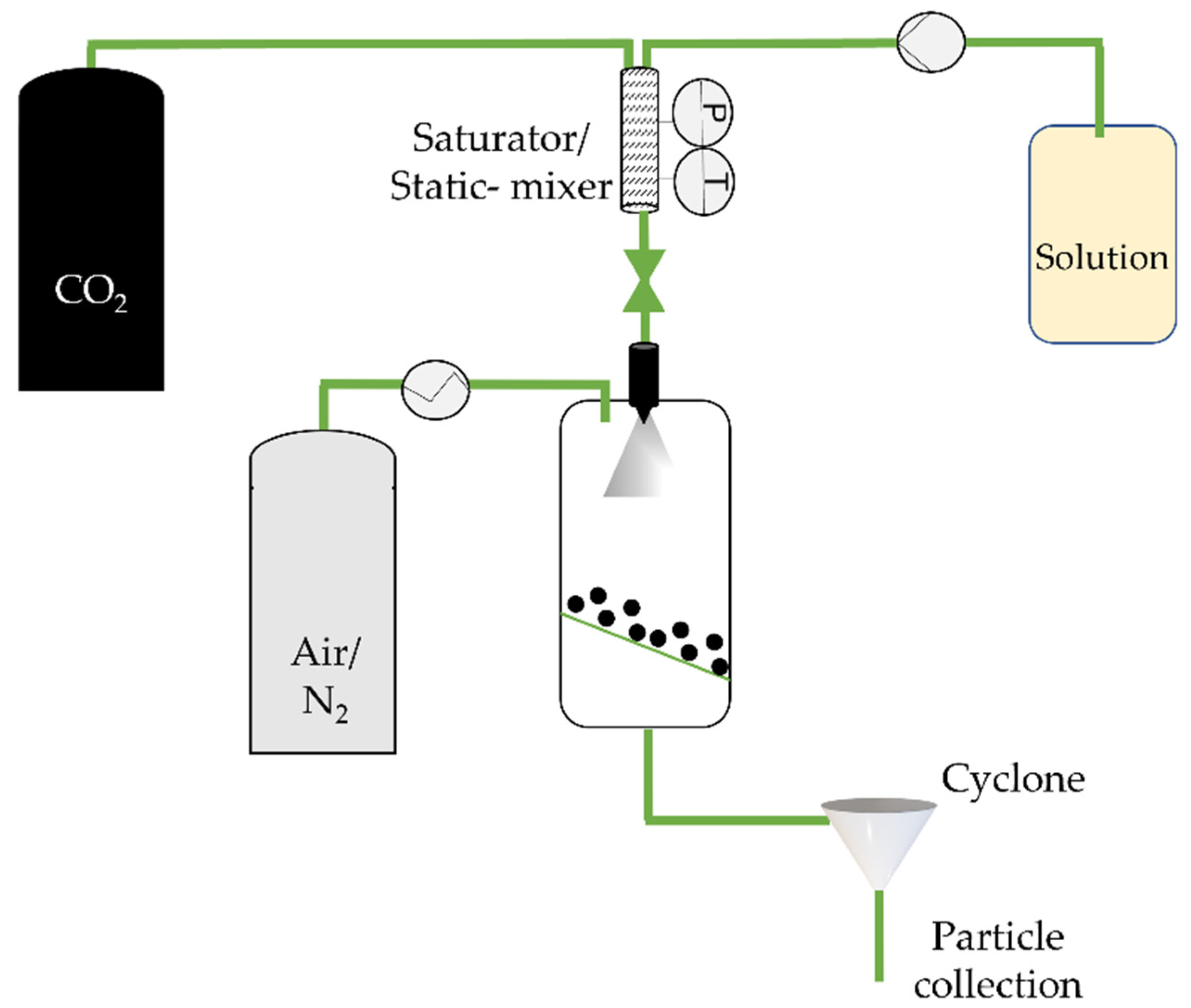 Molecules 26 07653 g005 Molecules 26 07653 g005