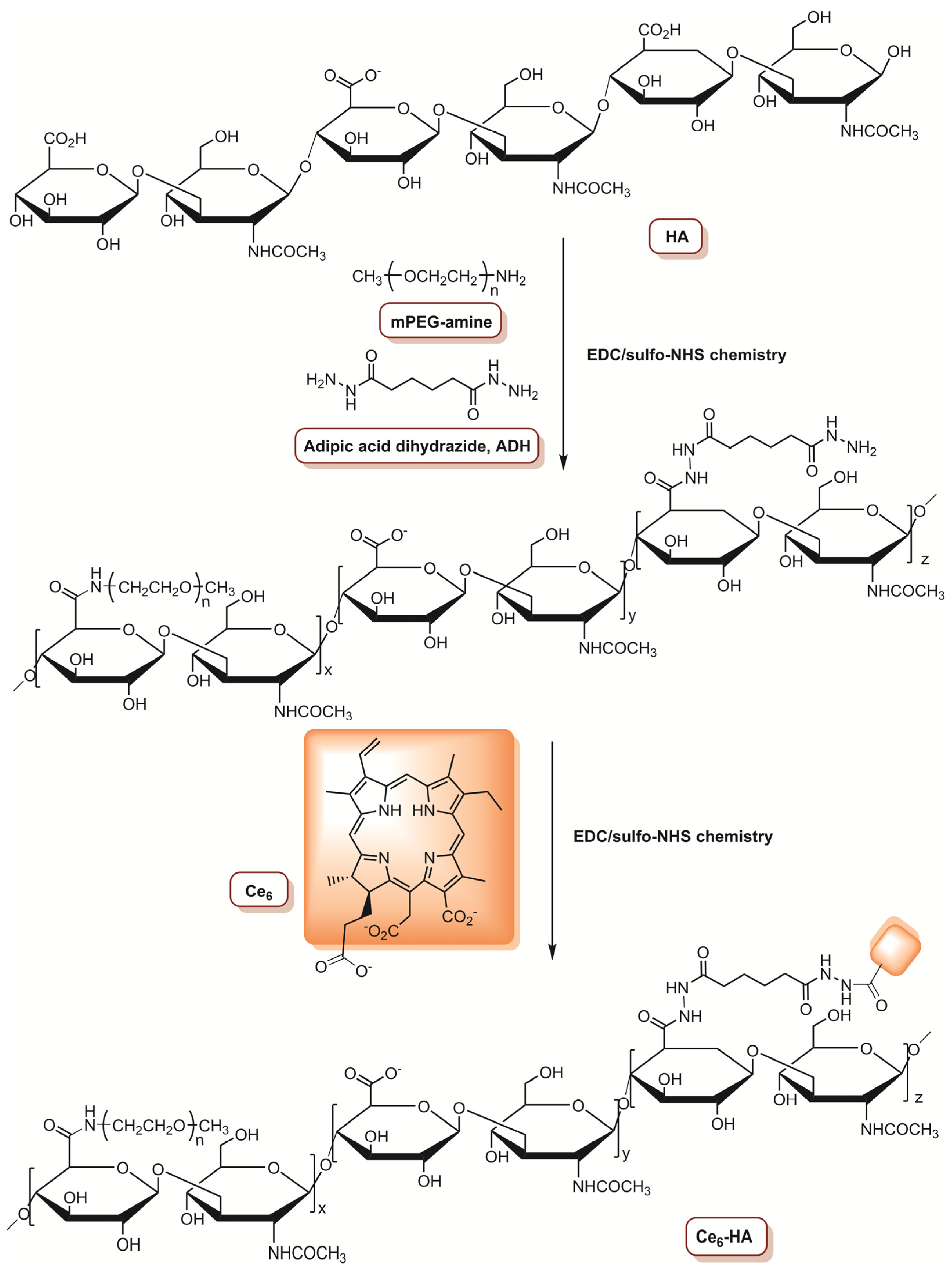 Molecules 26 07654 g003