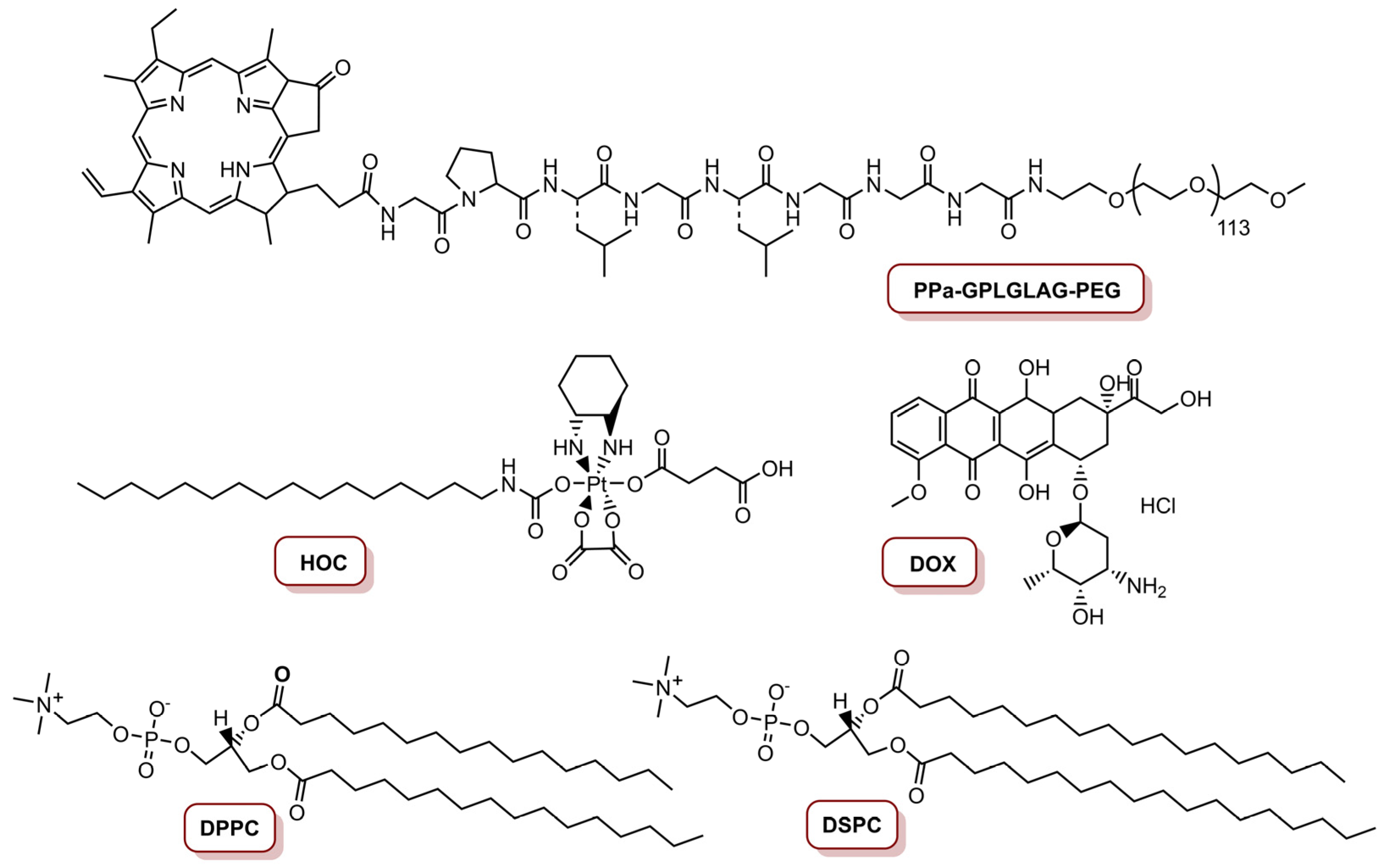Molecules 26 07654 g006