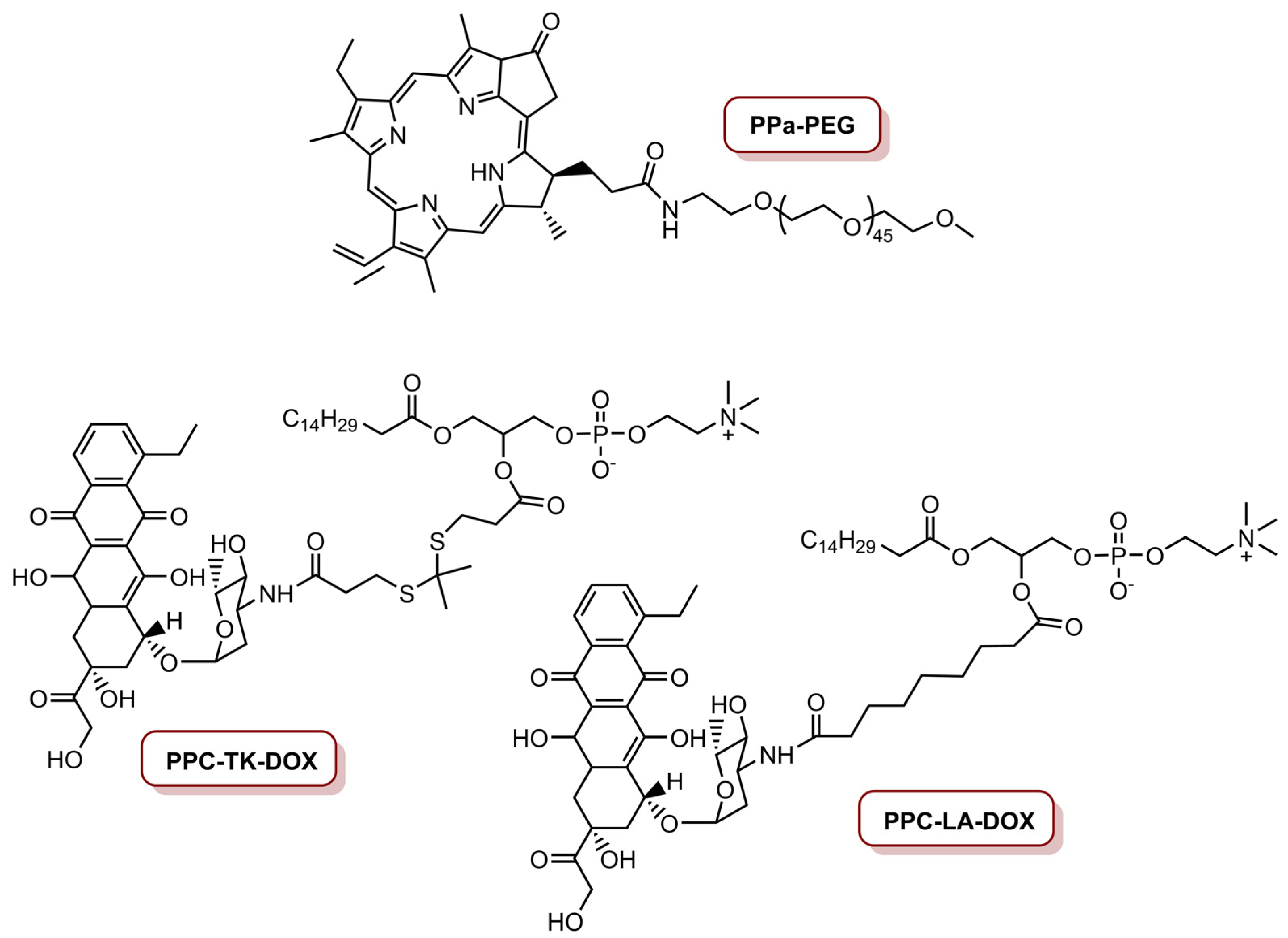 Molecules 26 07654 g007