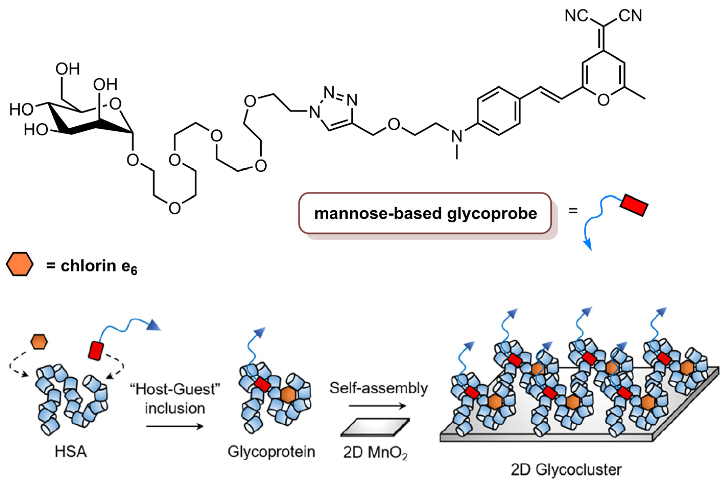 Molecules 26 07654 g012