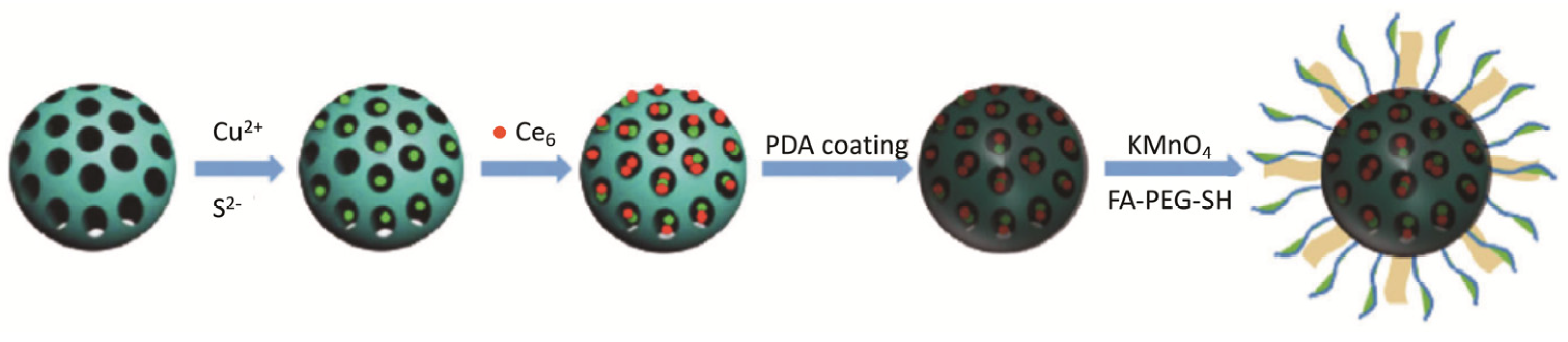 Molecules 26 07654 g013
