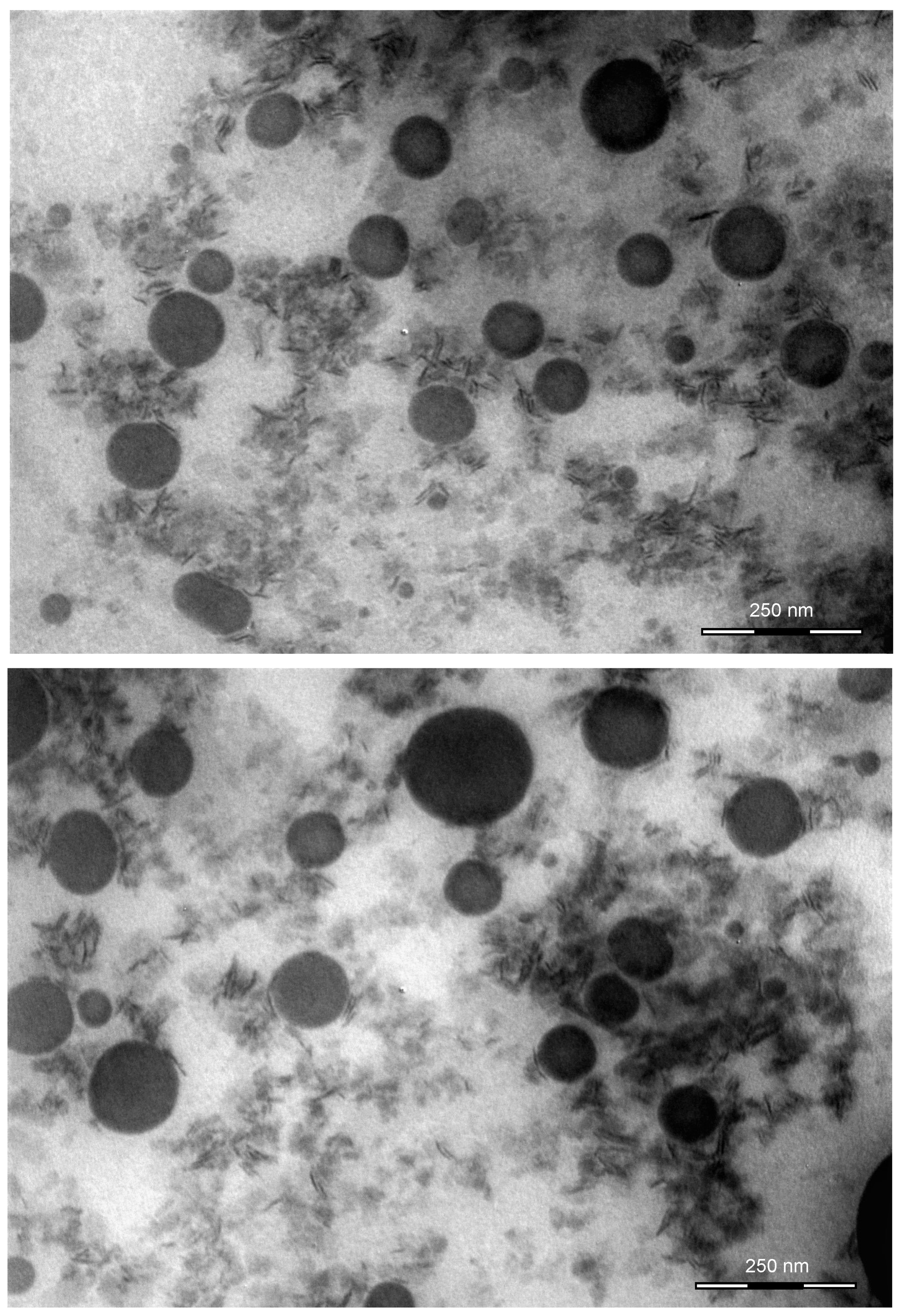 Molecules 26 07657 g005 550