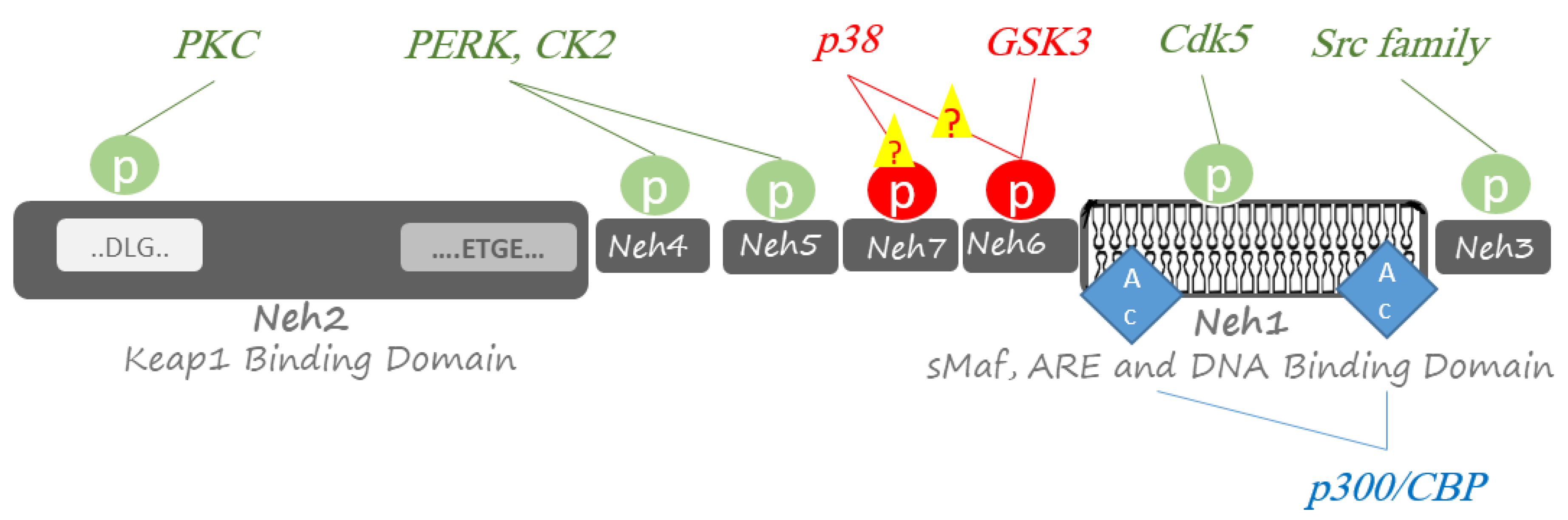 Molecules 26 07658 g002 Molecules 26 07658 g002