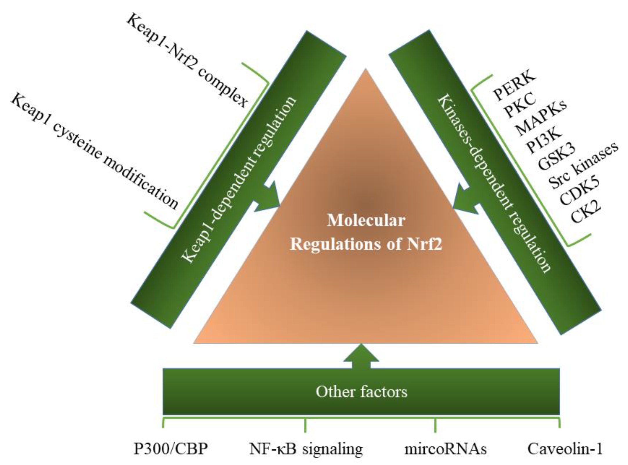 Molecules 26 07658 g003 Molecules 26 07658 g003