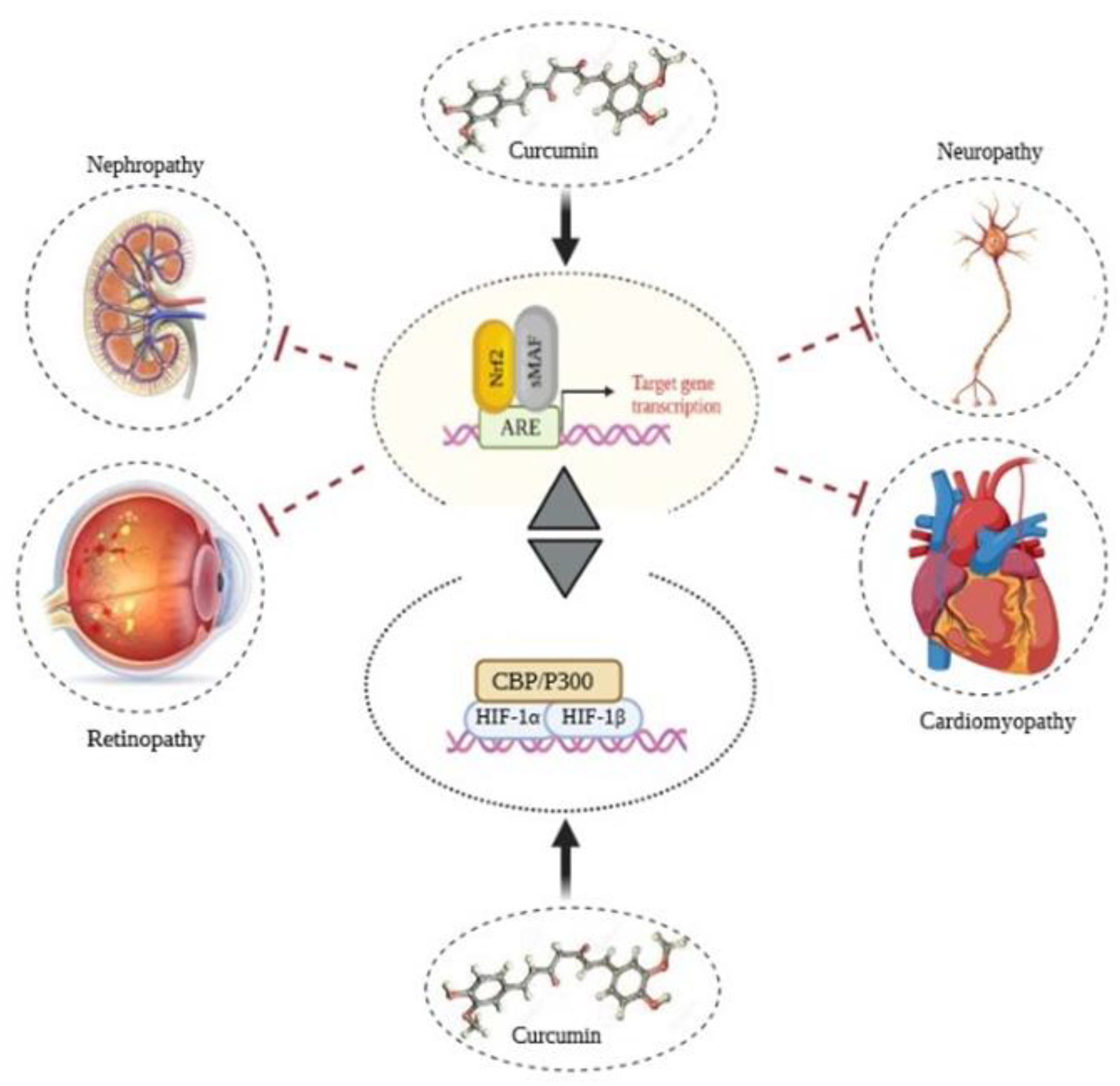 Molecules 26 07658 g005 Molecules 26 07658 g005