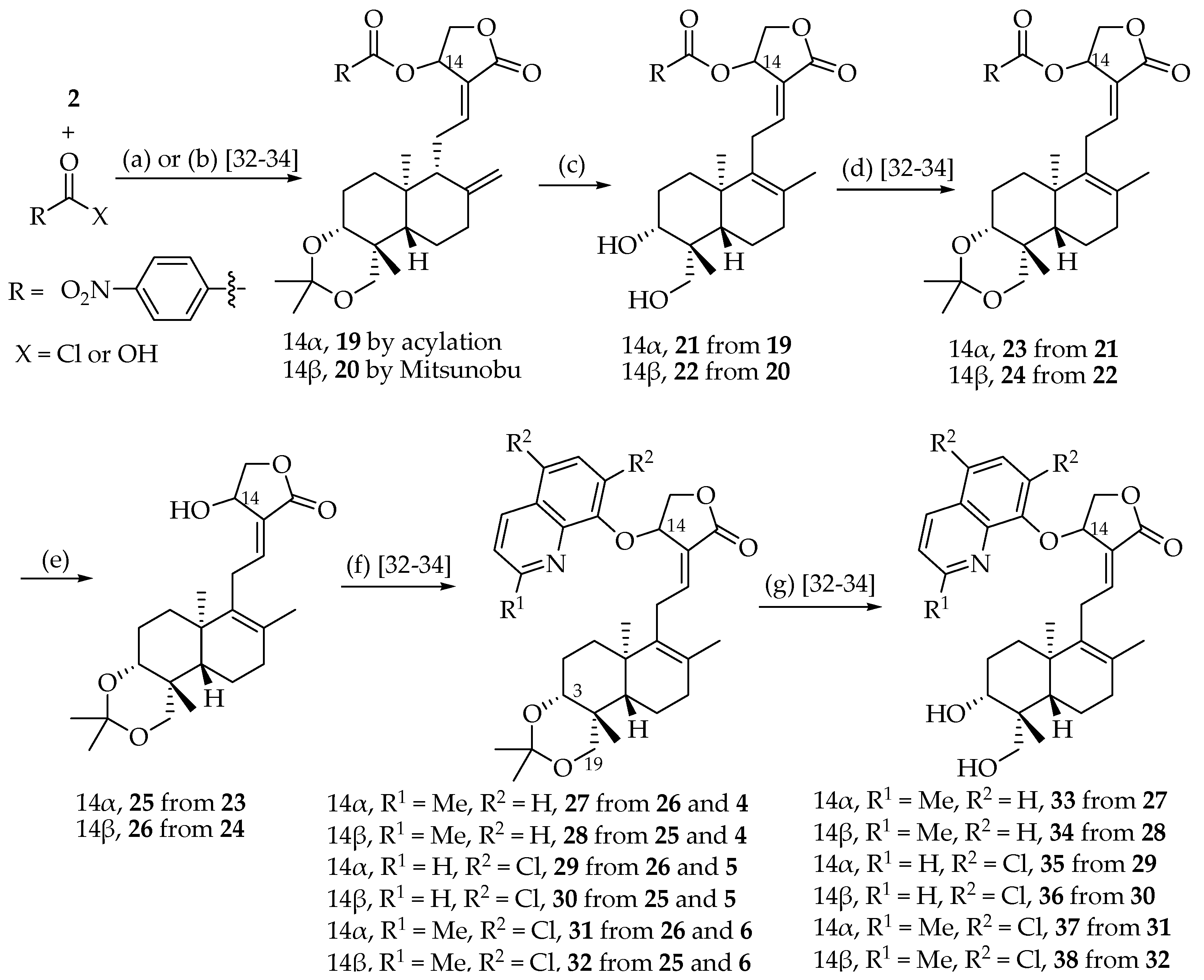 Molecules 26 07660 sch002