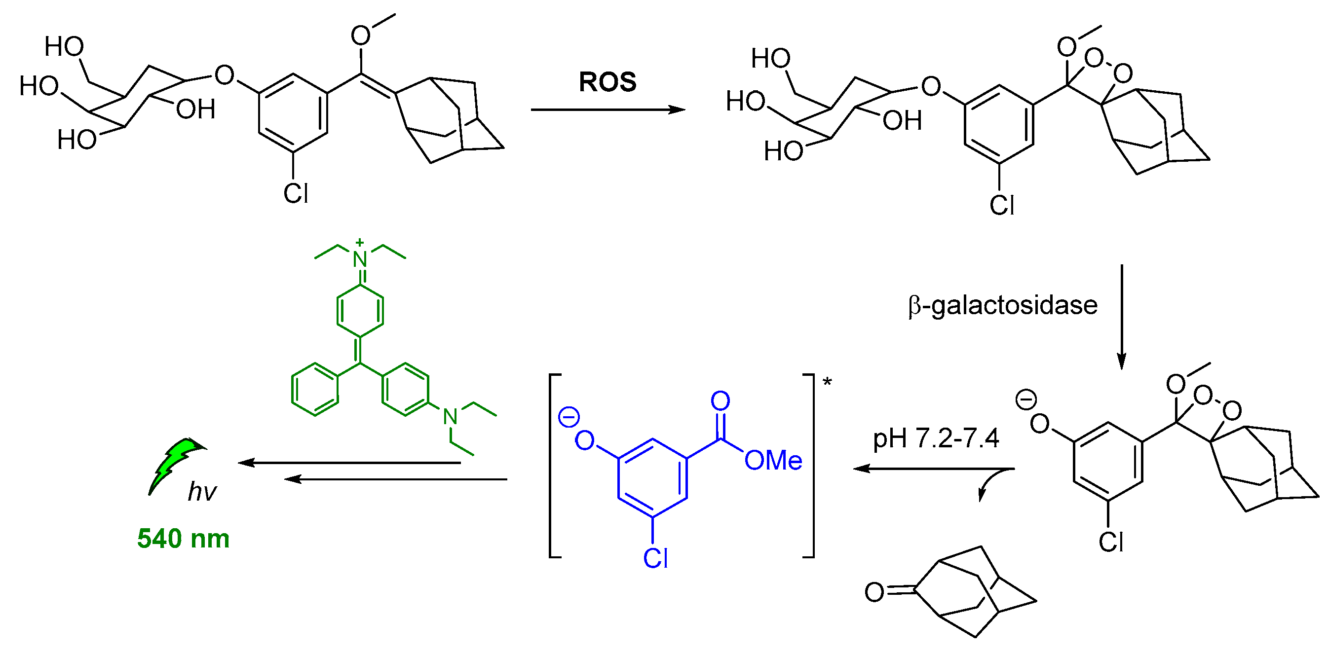 Molecules 26 07664 g013