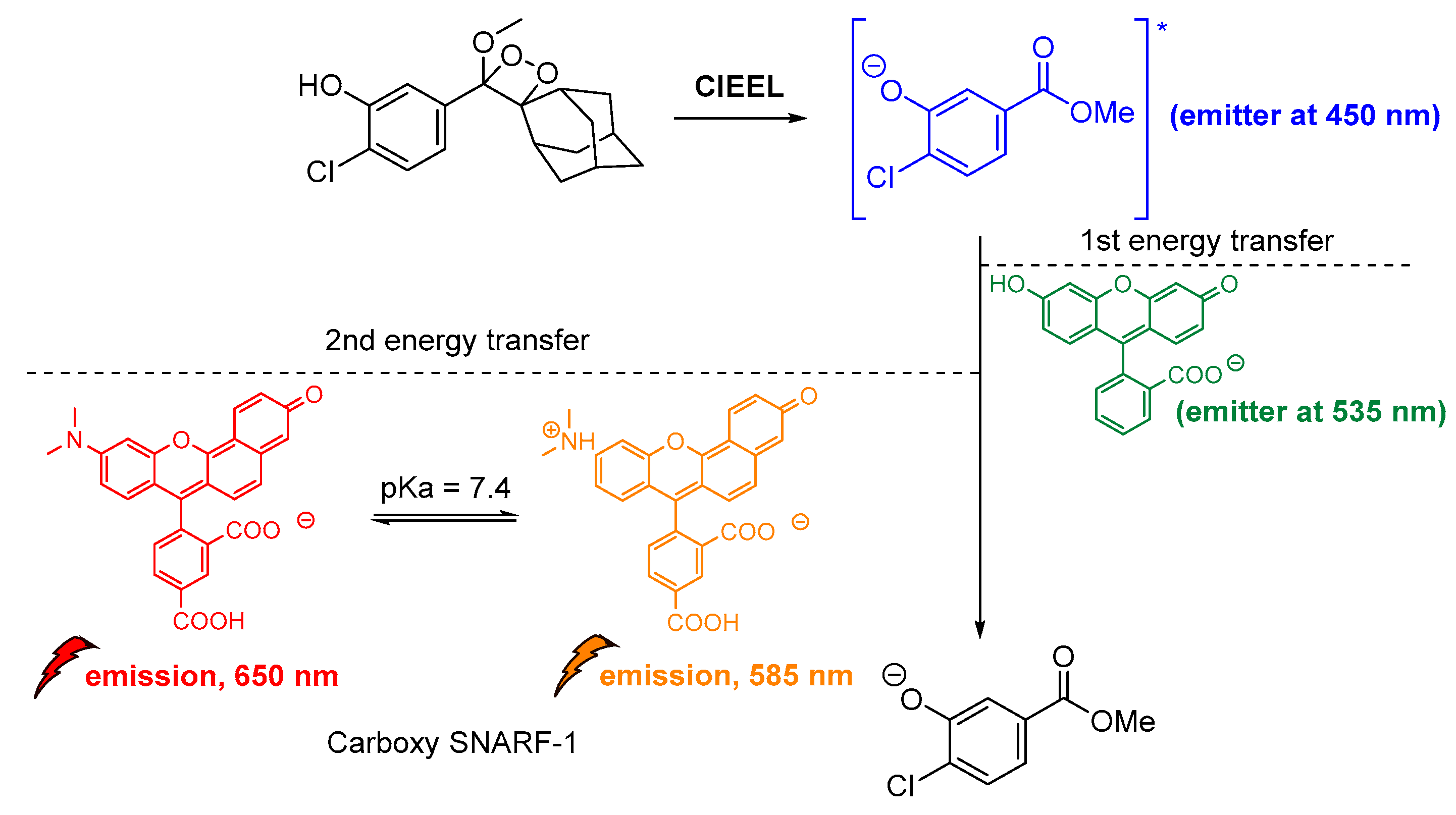 Molecules 26 07664 g015