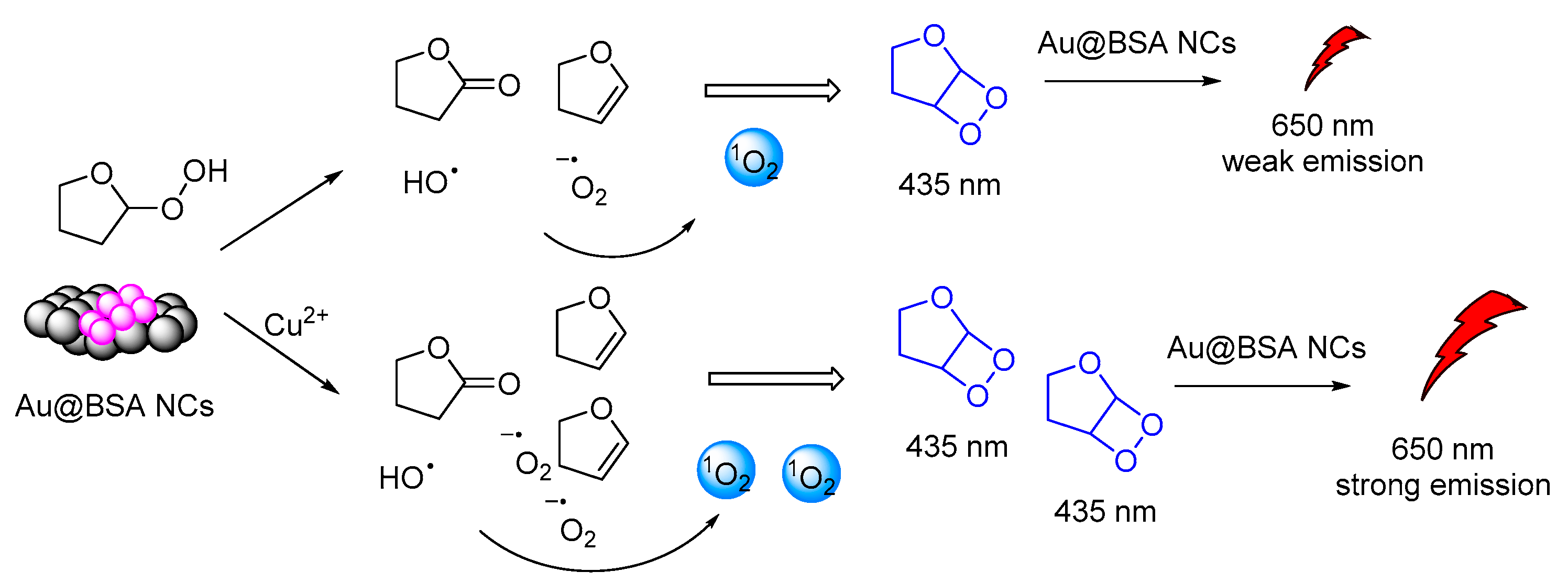 Molecules 26 07664 g016