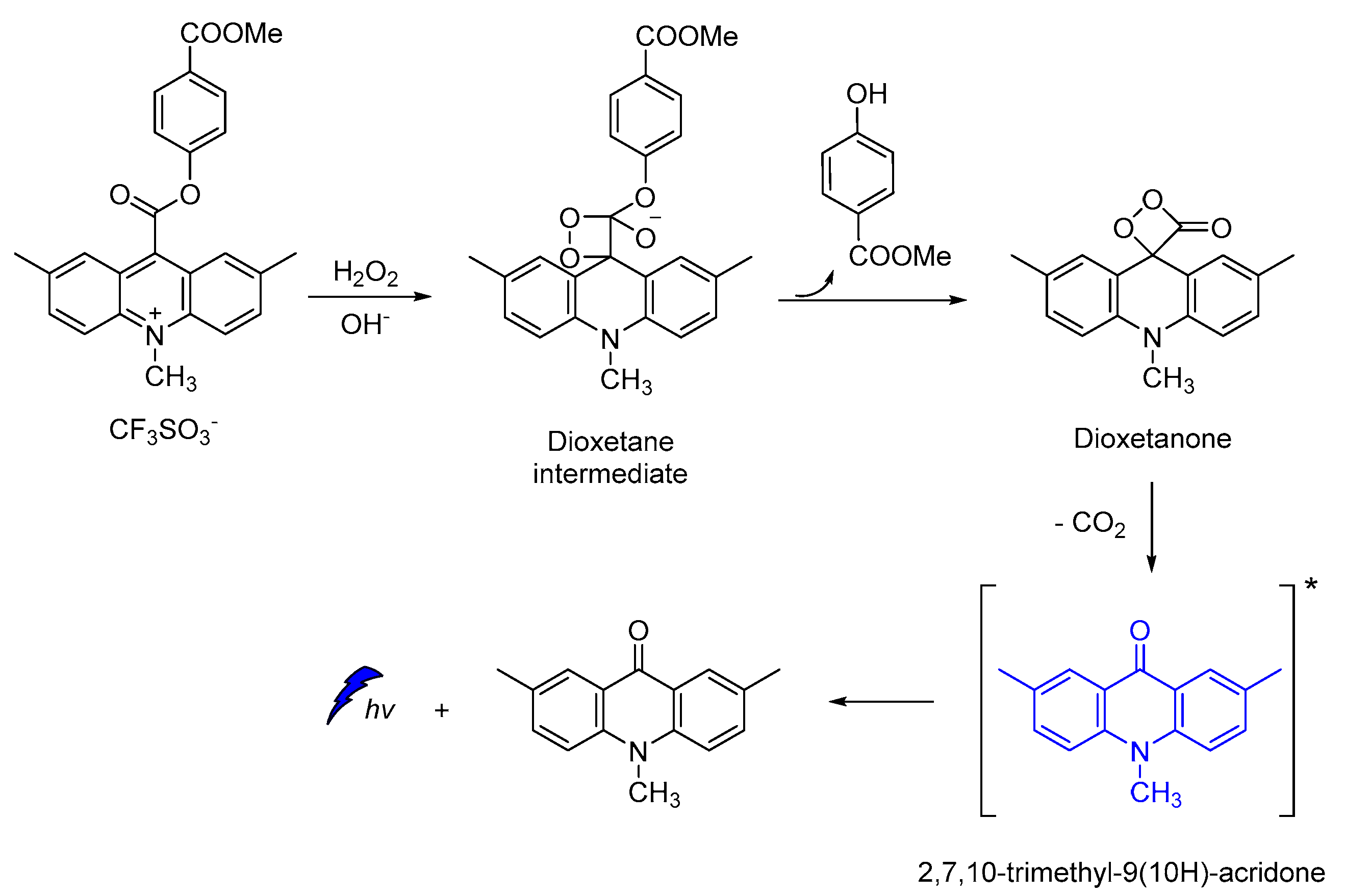 Molecules 26 07664 sch013