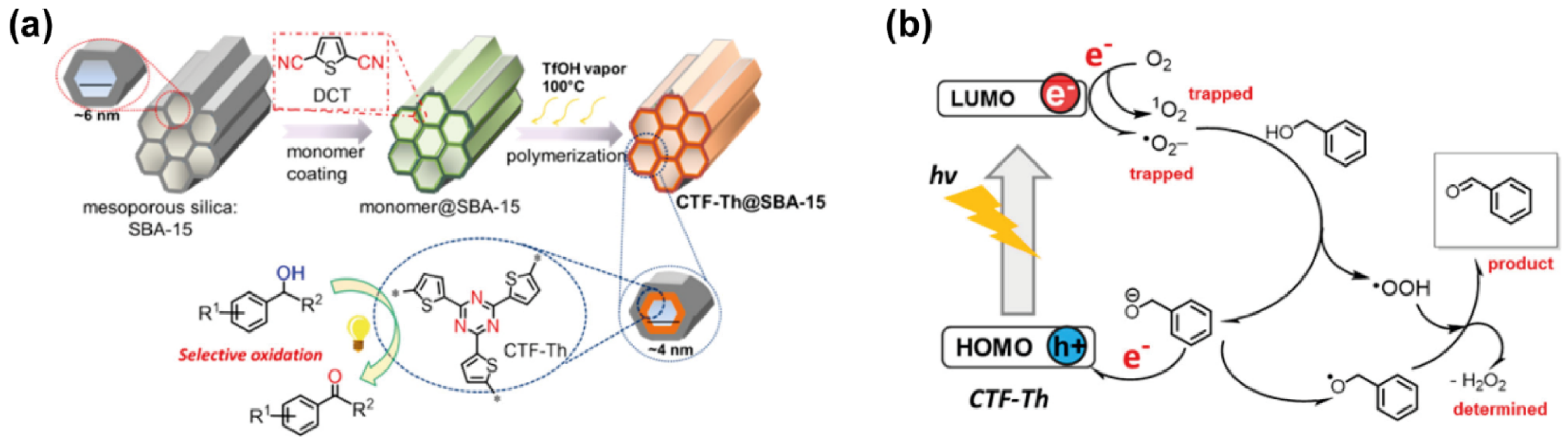 Molecules 26 07666 g002 550