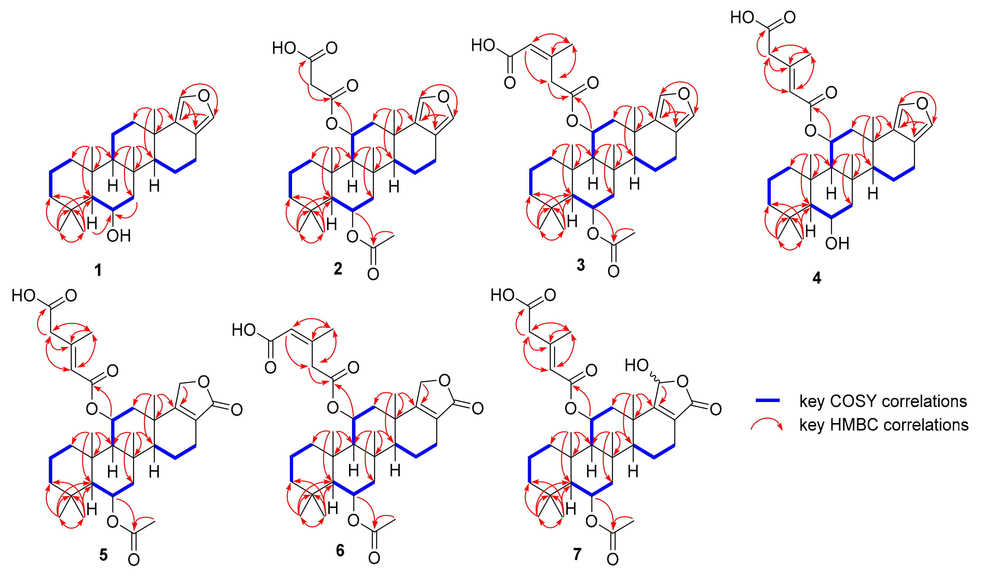 Molecules 26 07667 g002 550