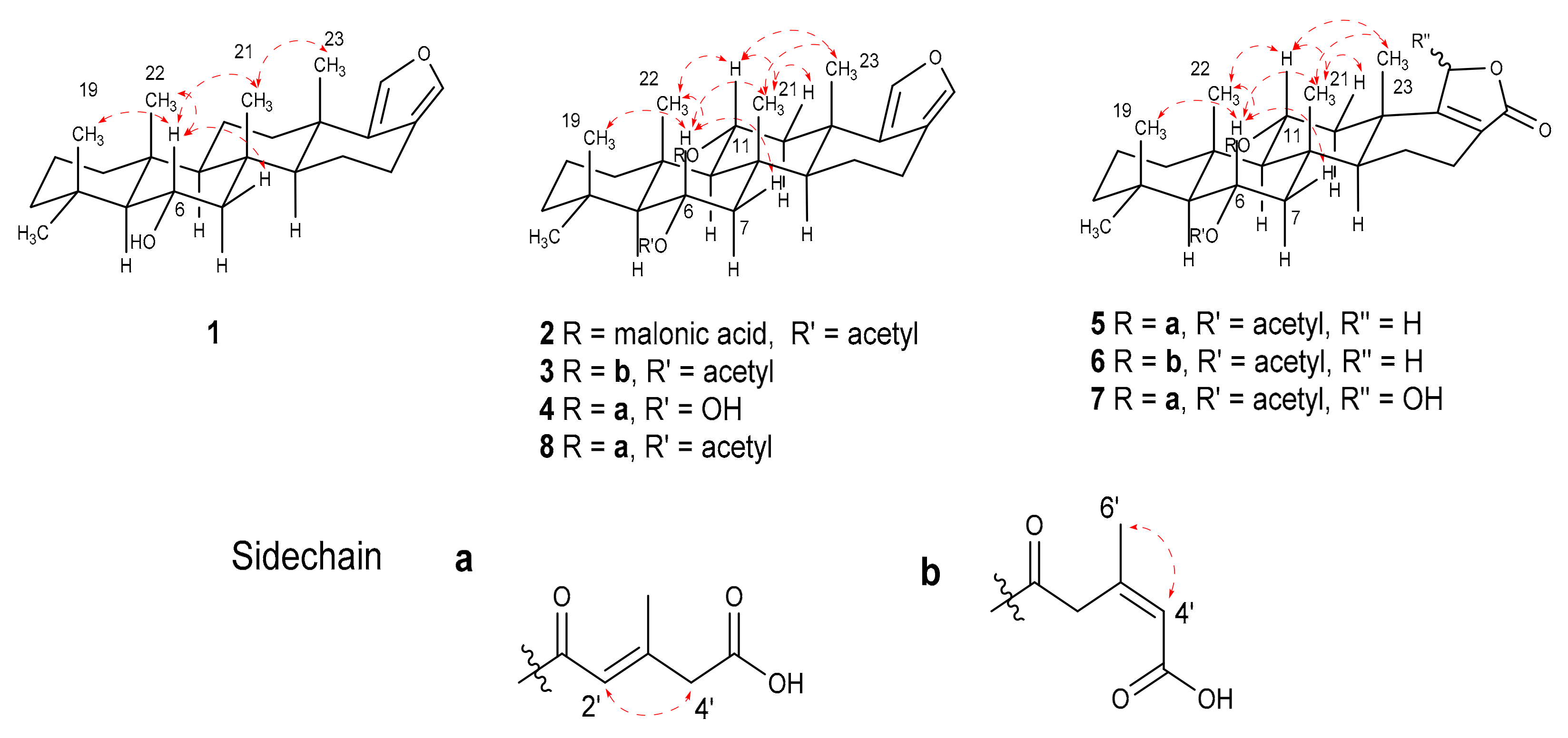 Molecules 26 07667 g003 550