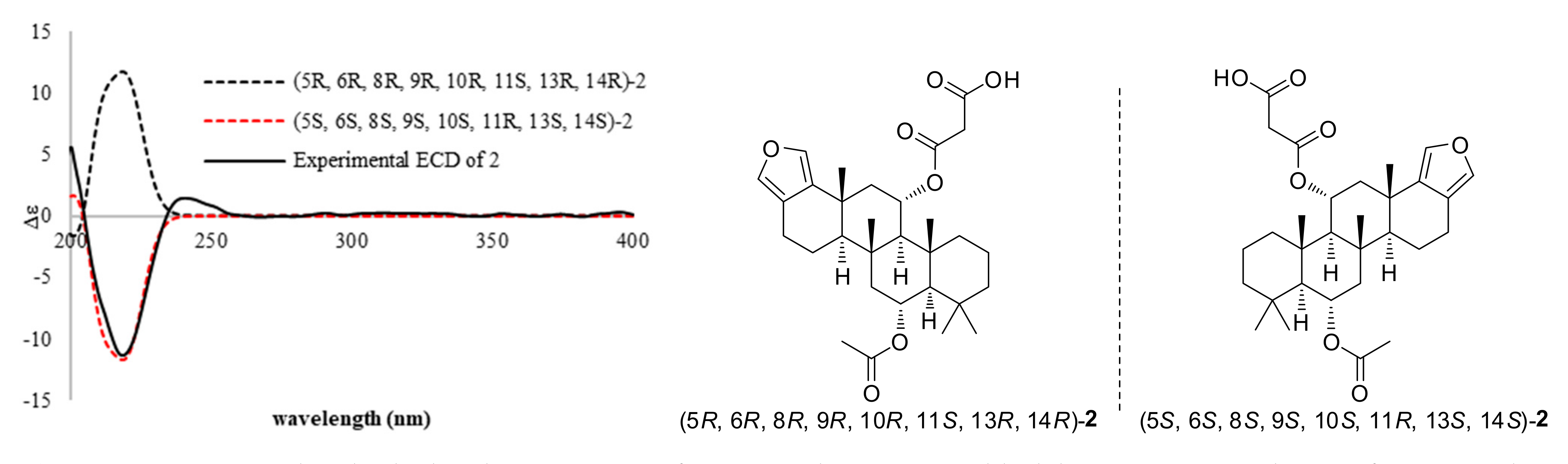 Molecules 26 07667 g004 550