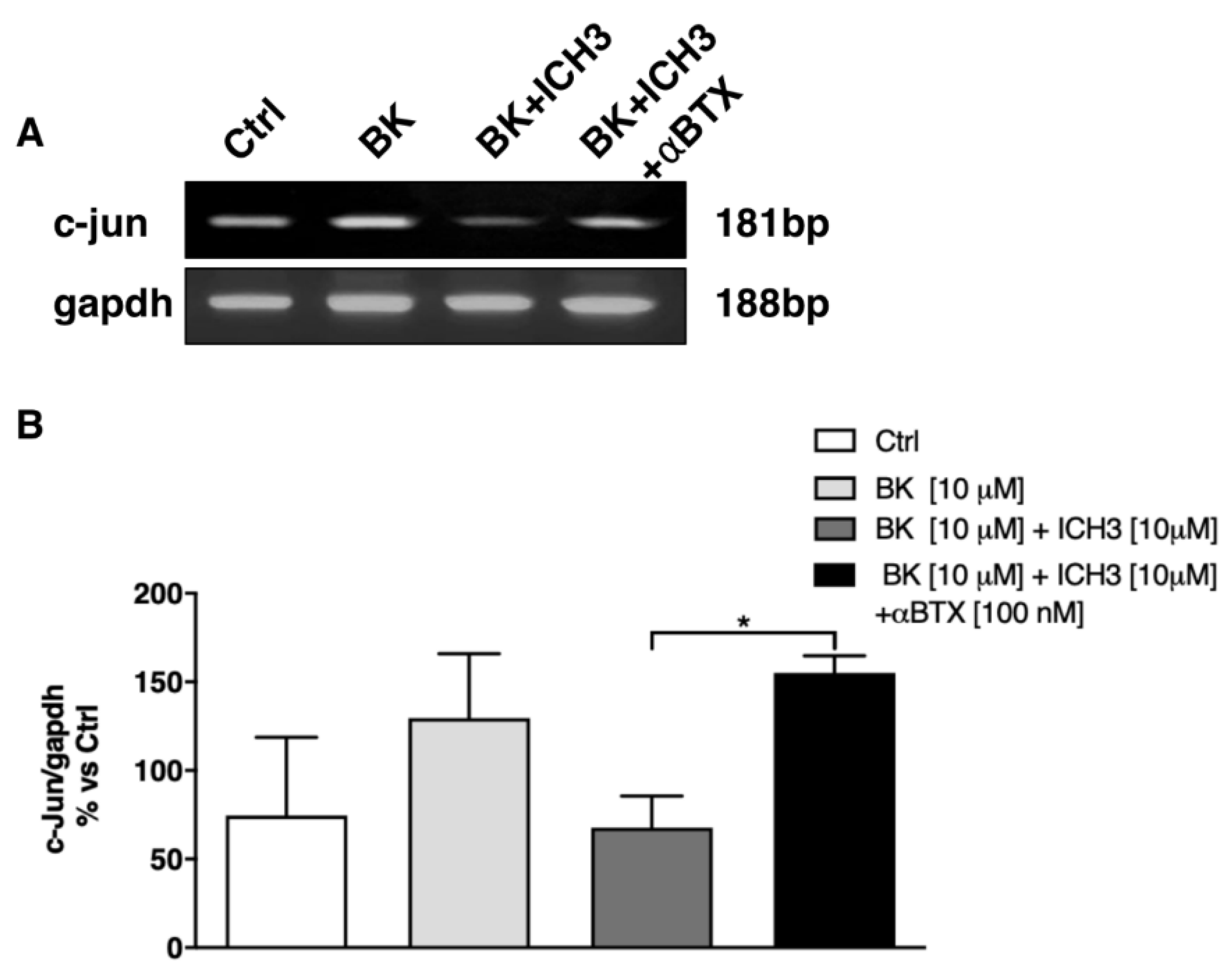 Molecules 26 07668 g003 550