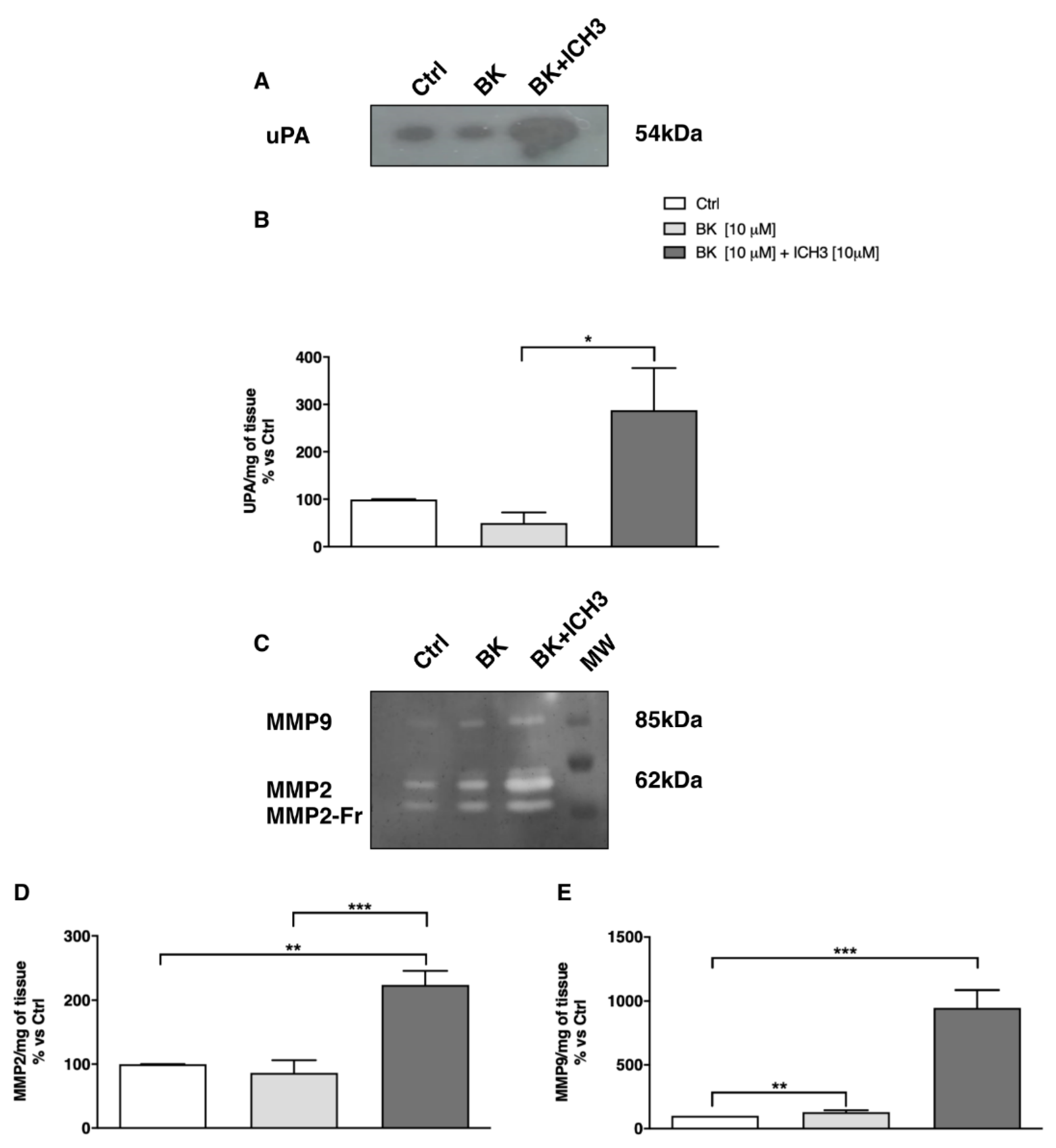 Molecules 26 07668 g005 550