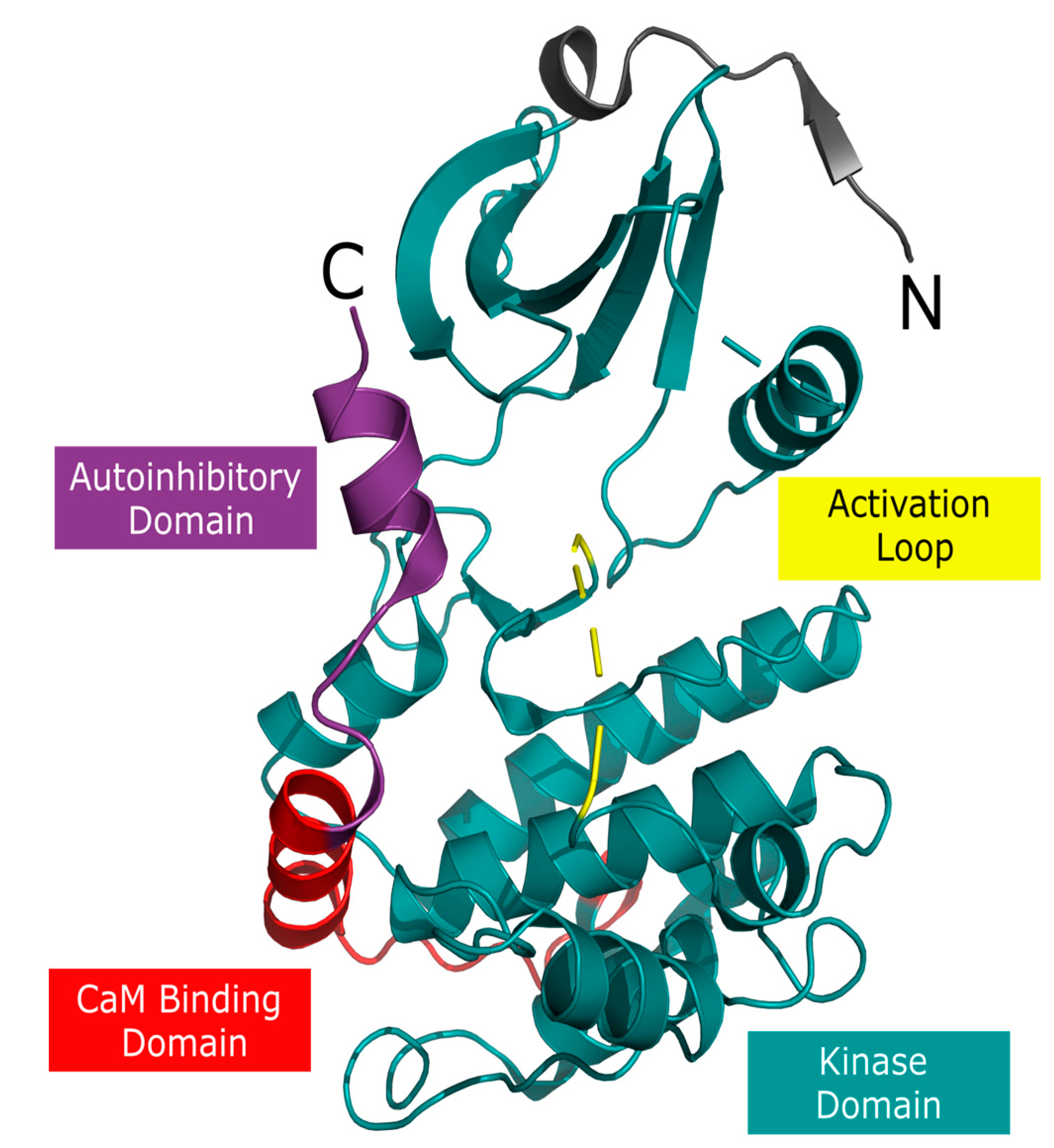 Molecules 26 07669 g001