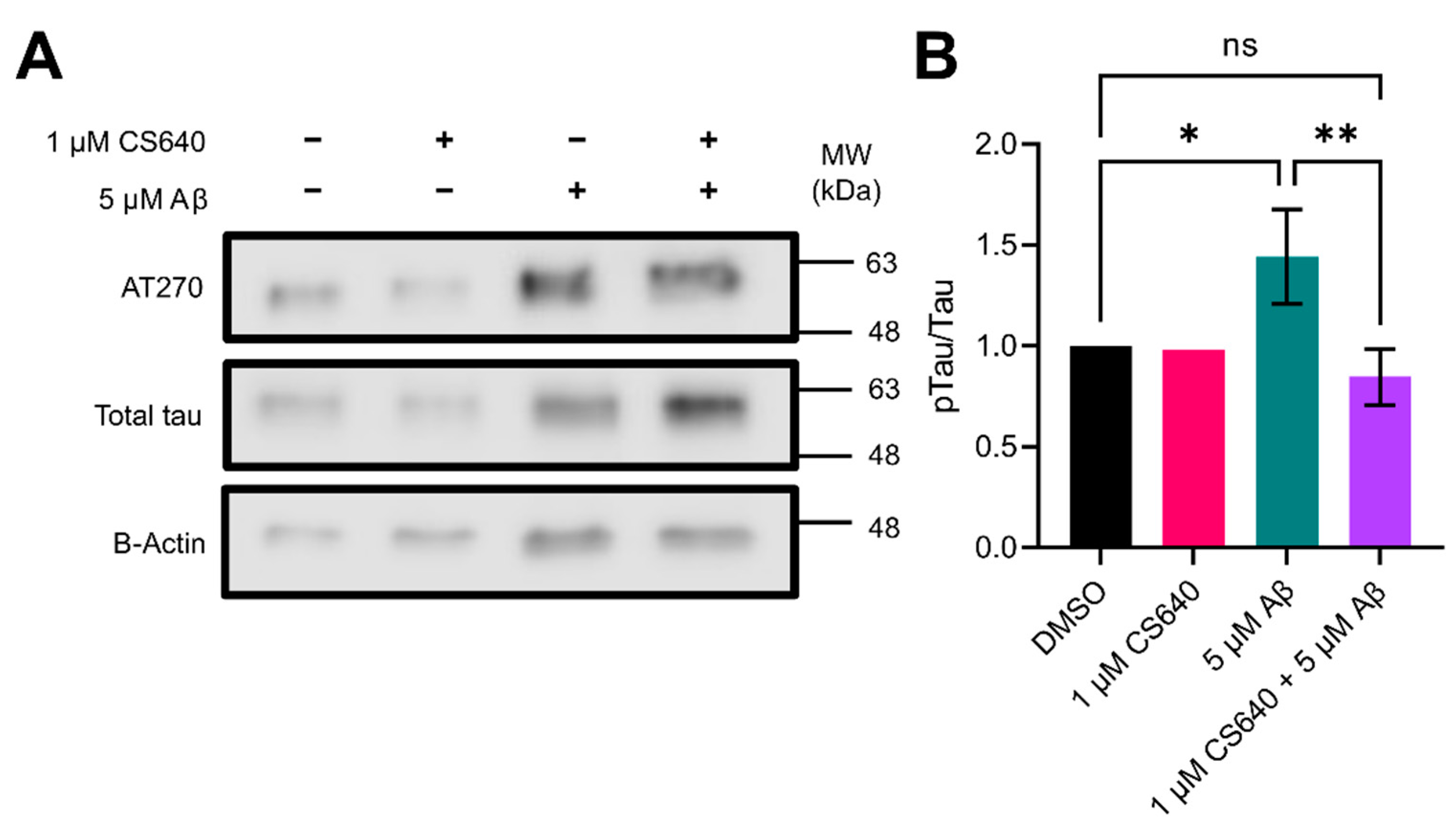 Molecules 26 07669 g006