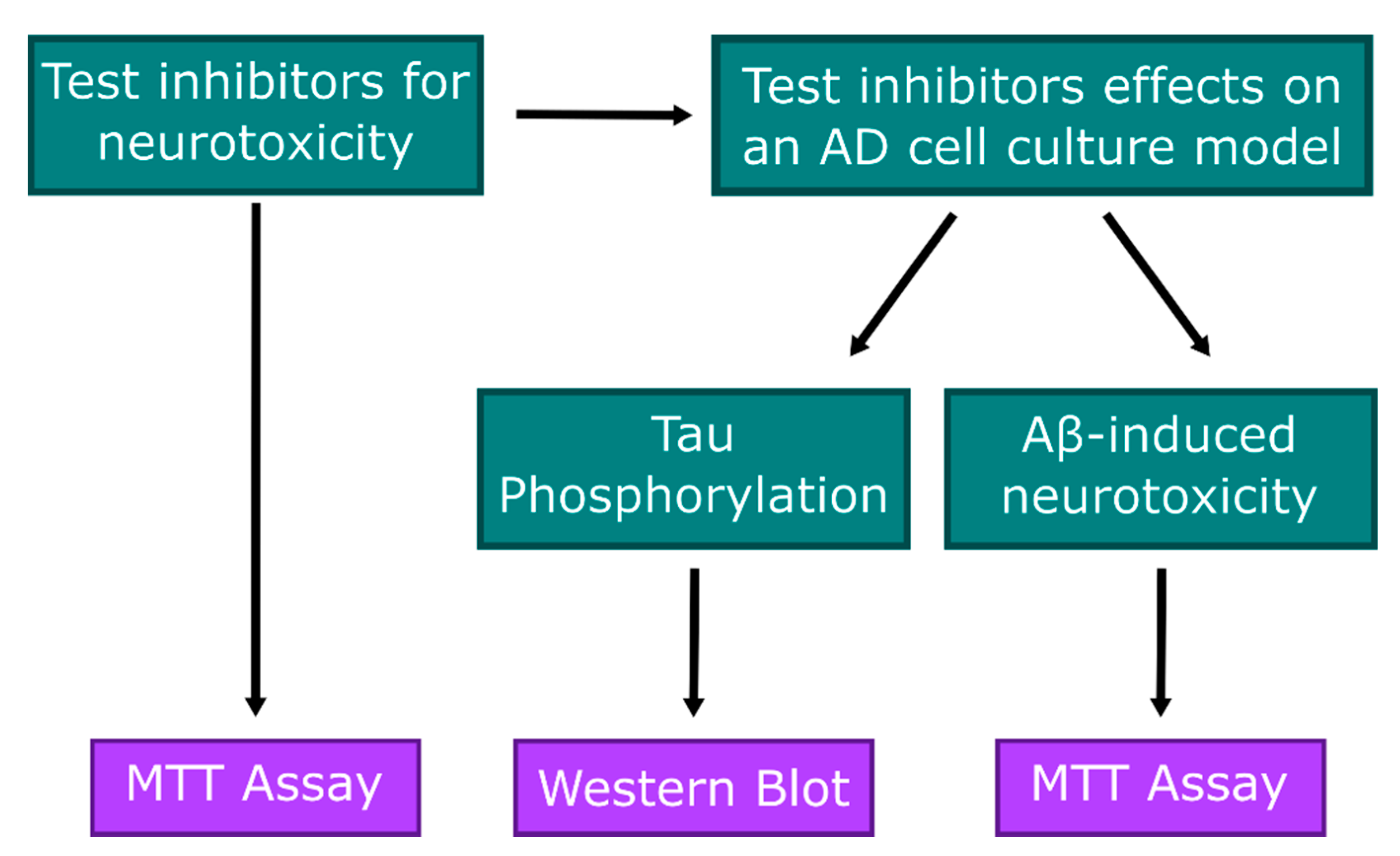 Molecules 26 07669 g007