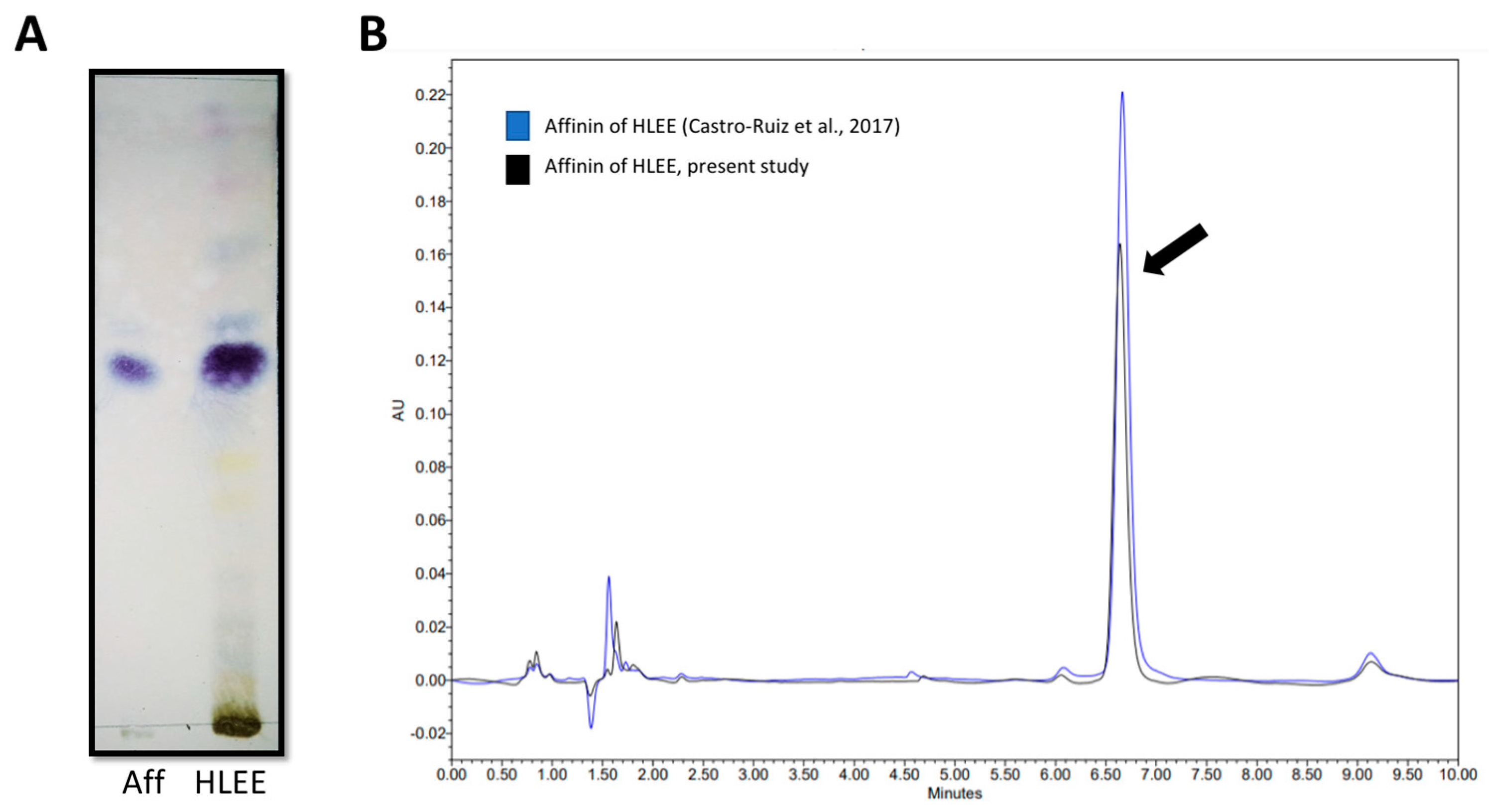 Molecules 26 07670 g002 Molecules 26 07670 g002