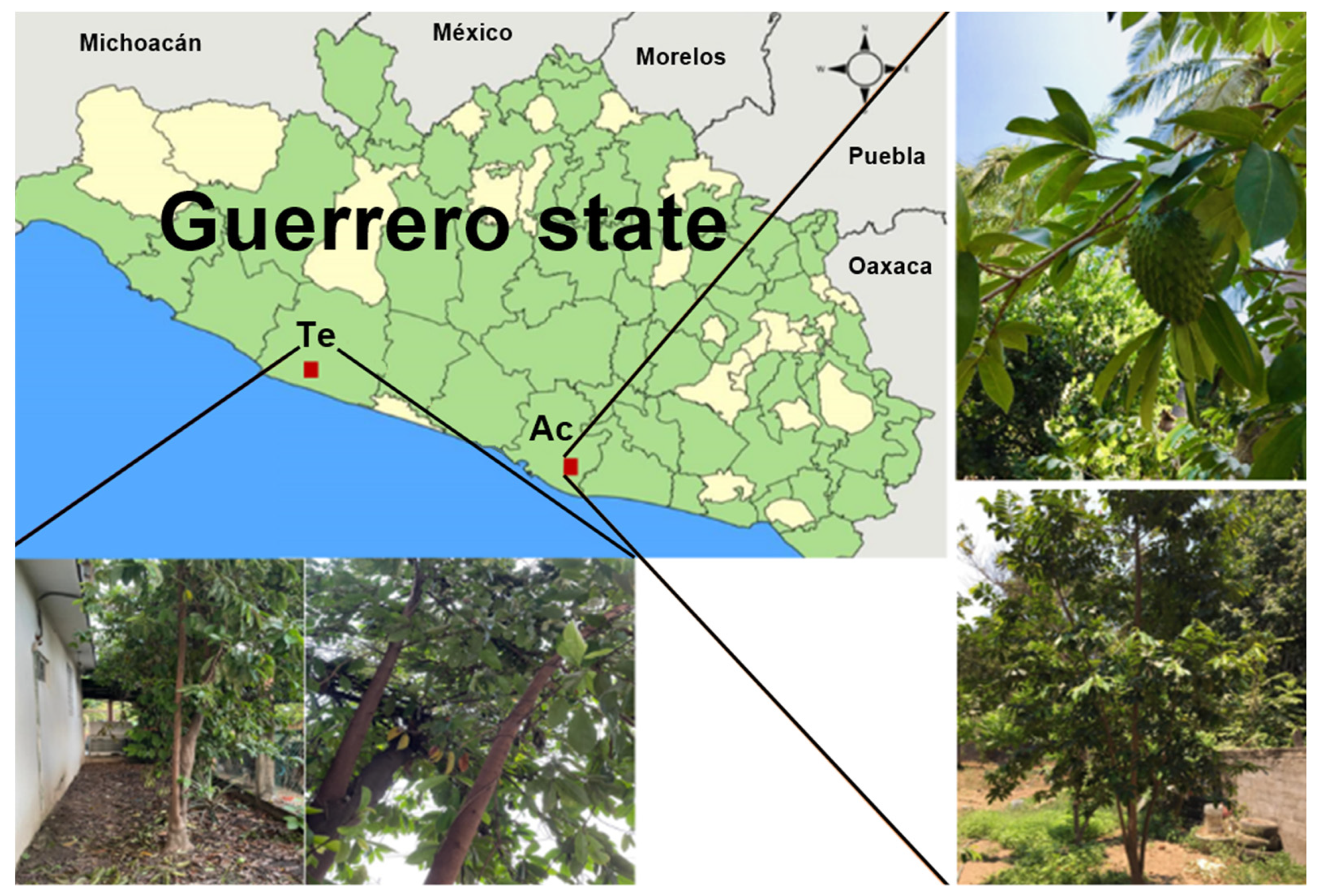 Molecules 26 07675 g001