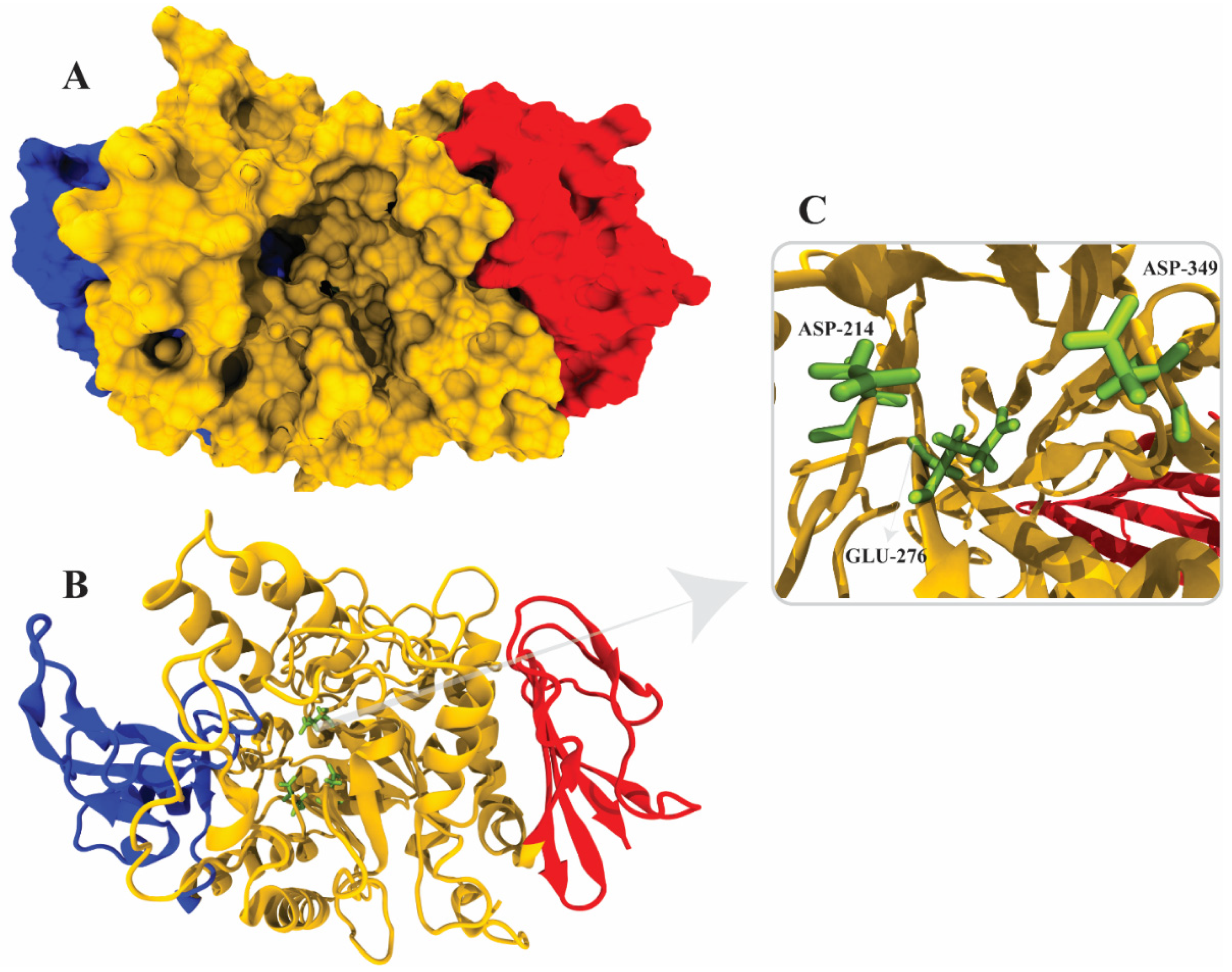 Molecules 26 07676 g006 550
