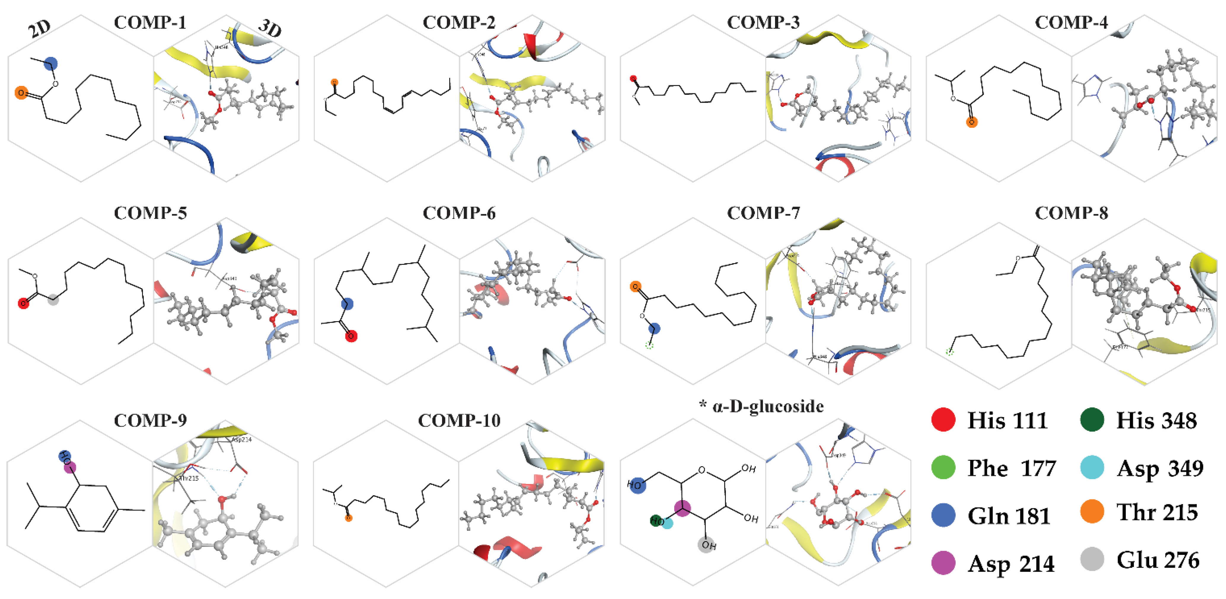 Molecules 26 07676 g012 550
