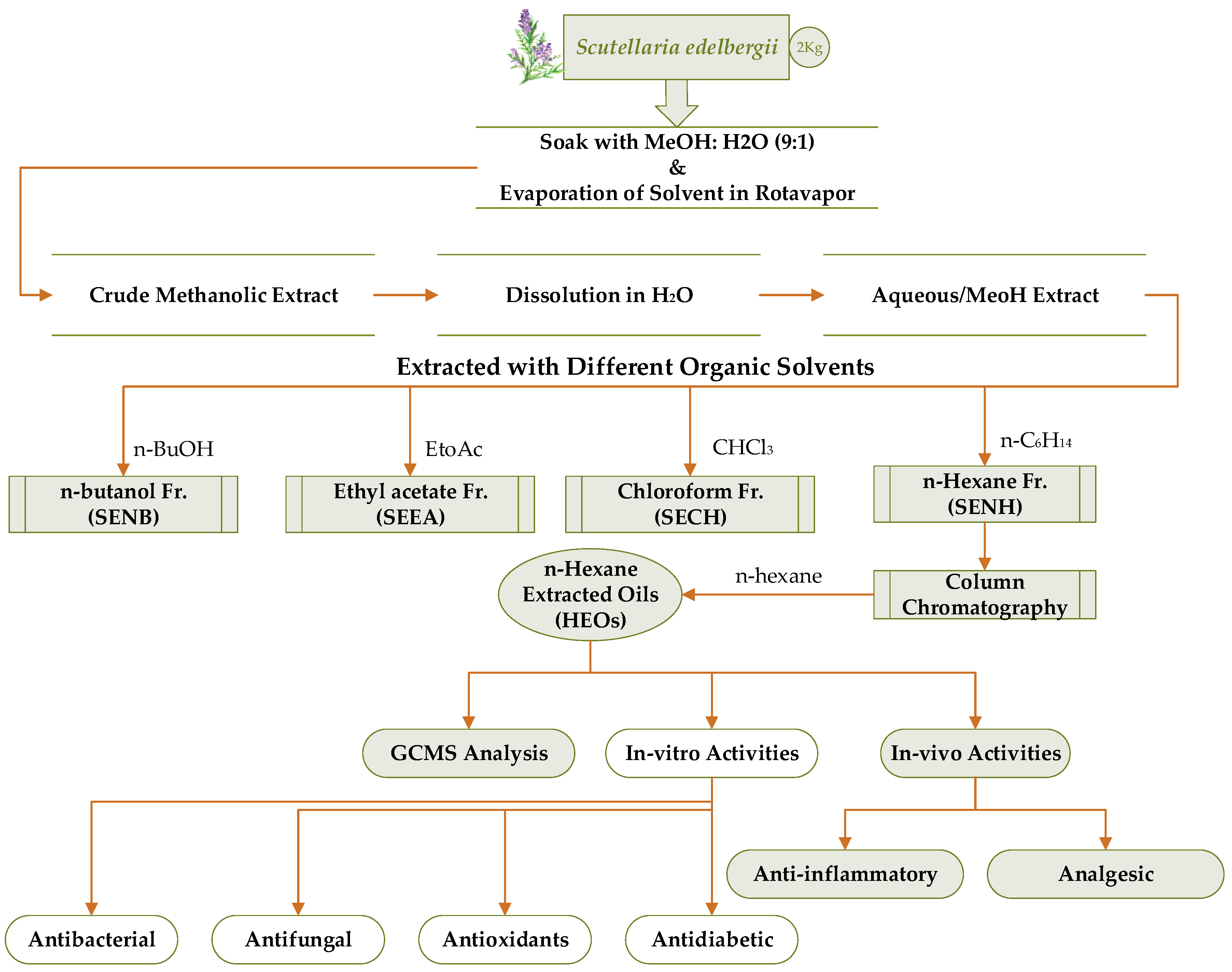 Molecules 26 07676 g013 550