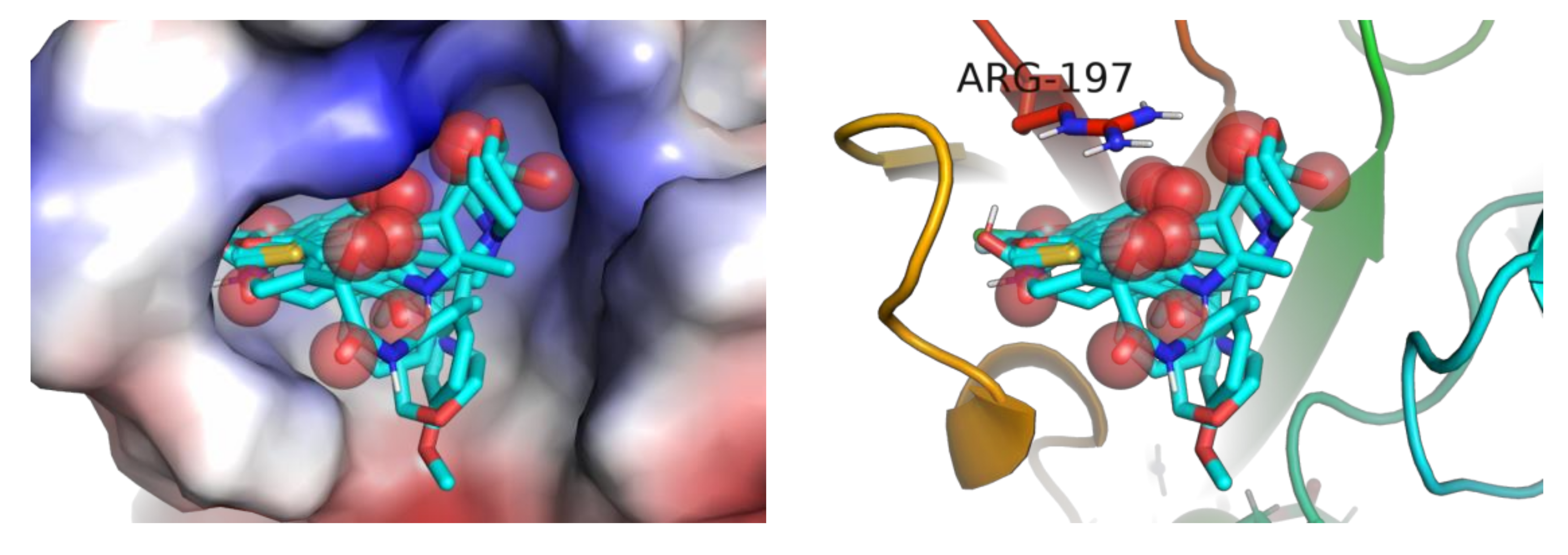 Molecules 26 07677 g009 550