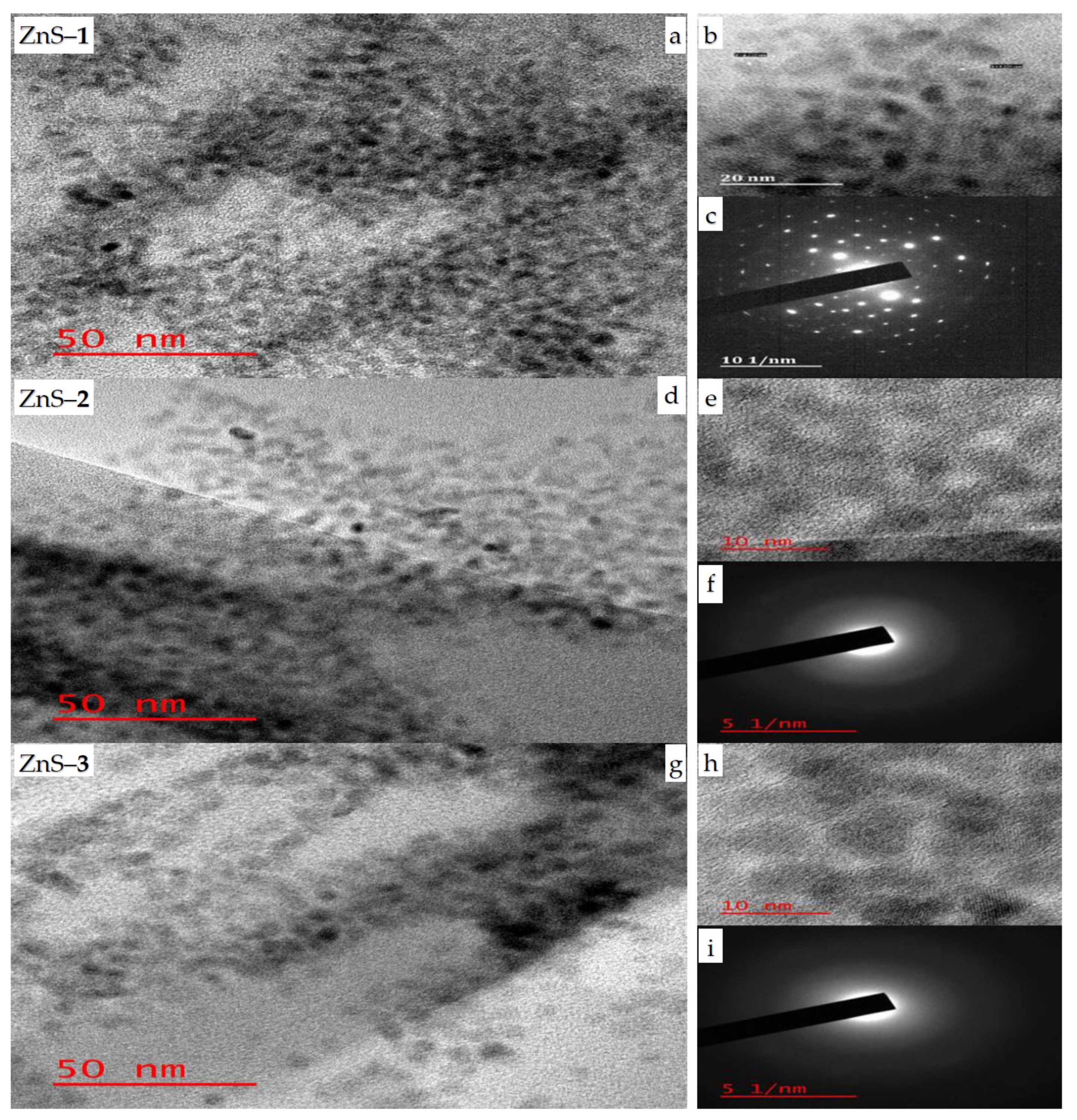 Molecules 26 07686 g001 550