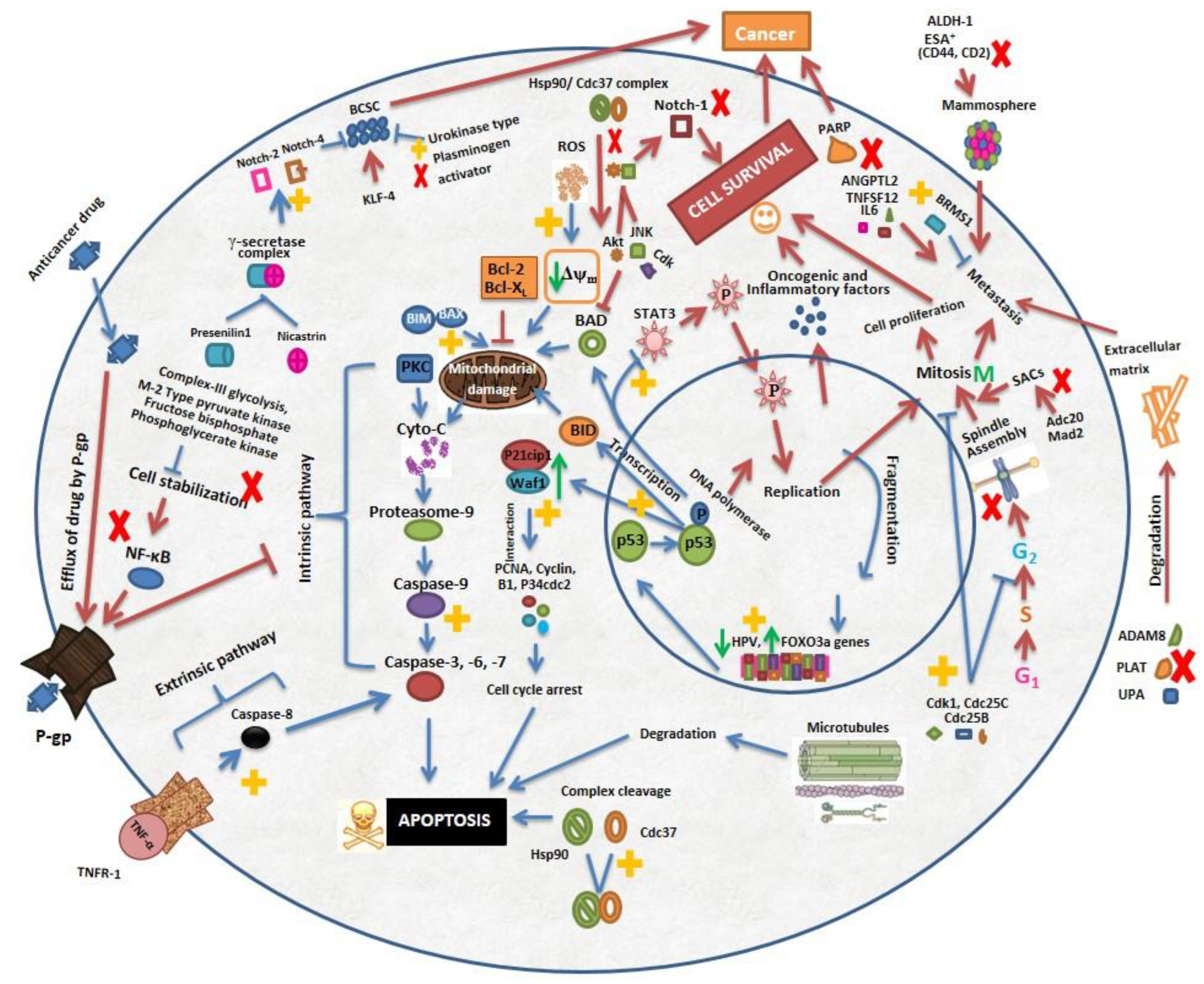 Molecules 26 07696 g002 Molecules 26 07696 g002