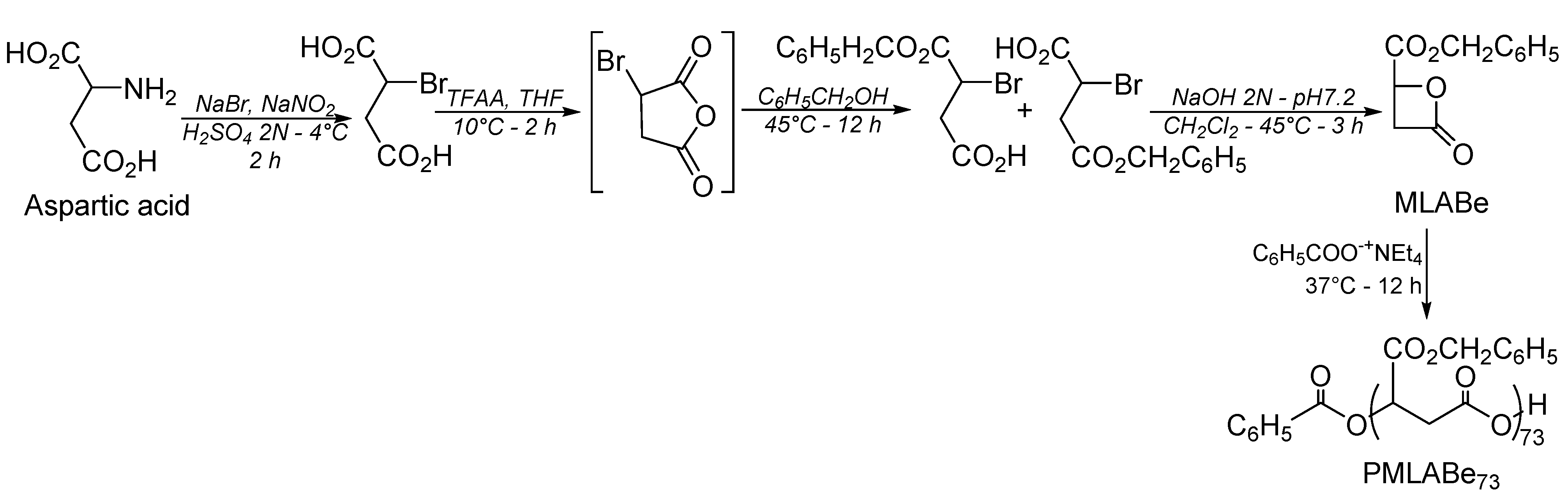 Molecules 26 07703 sch001 550