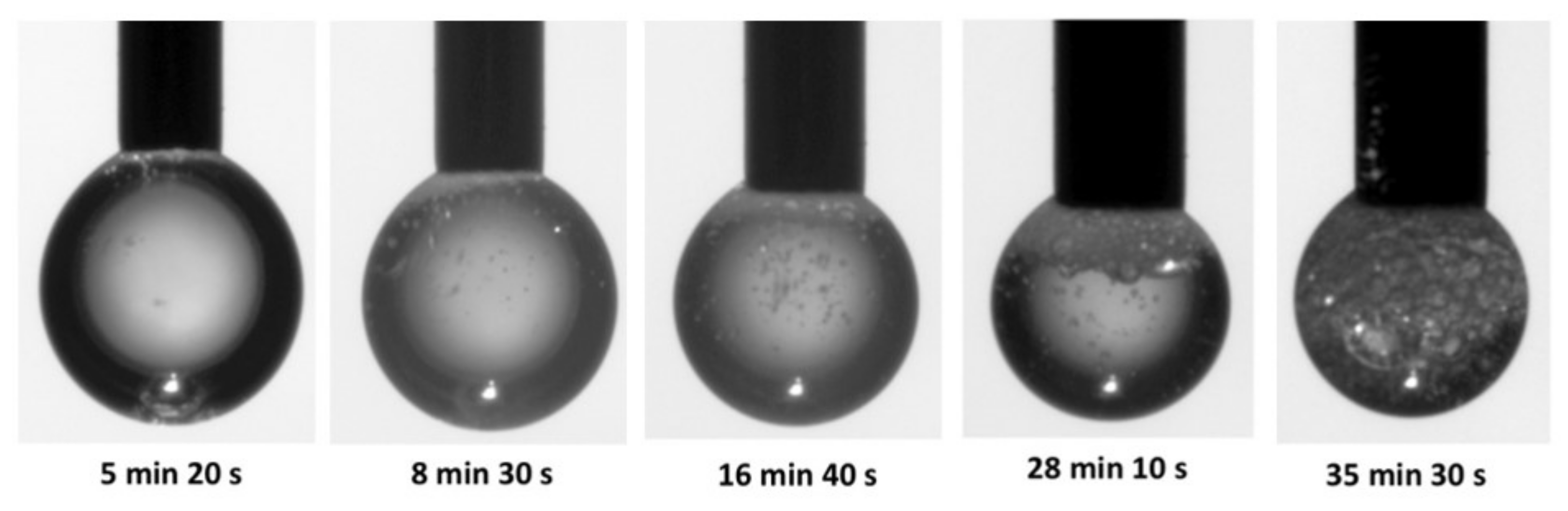 Molecules 26 07704 g002 550