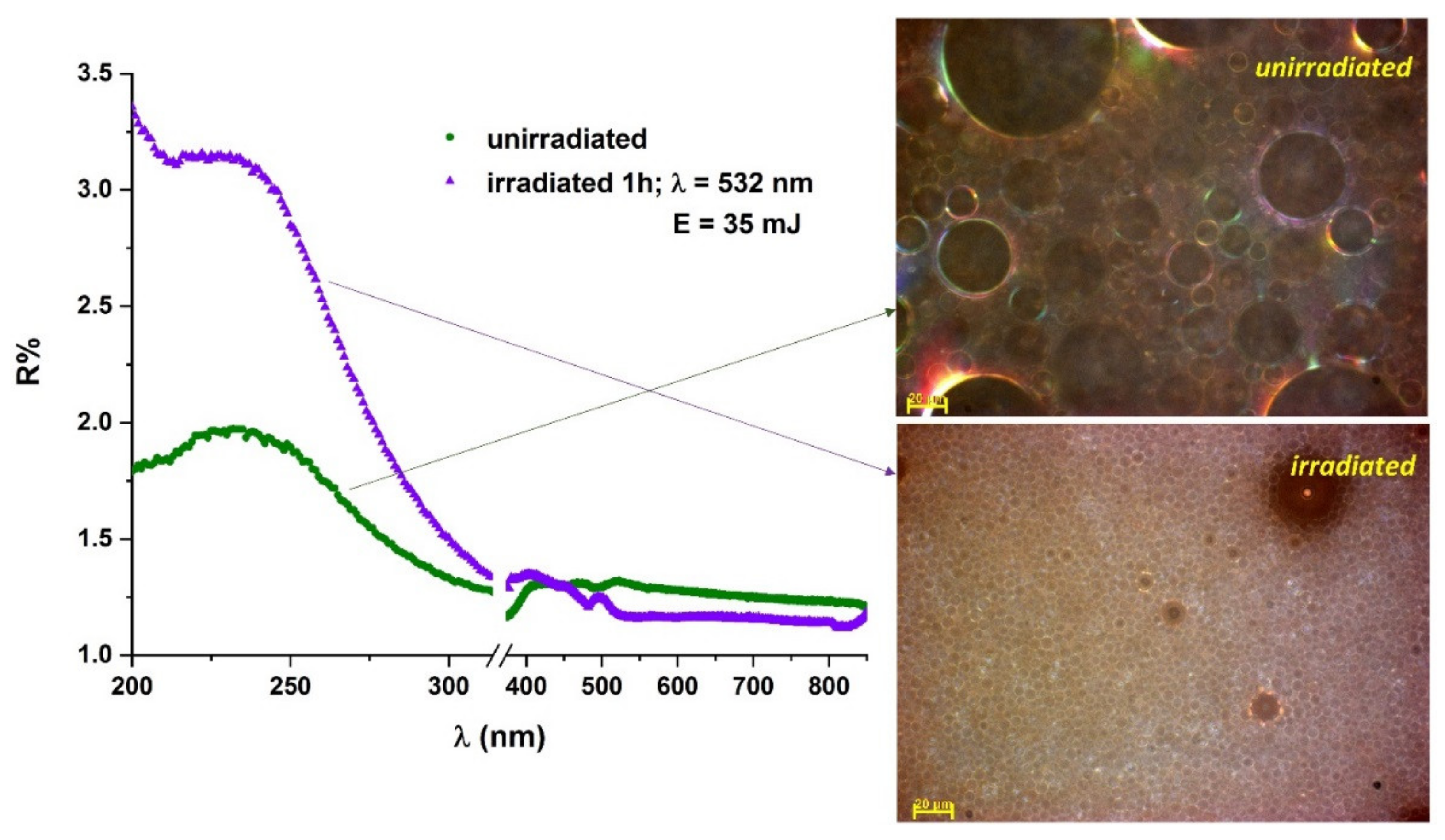 Molecules 26 07704 g006 550