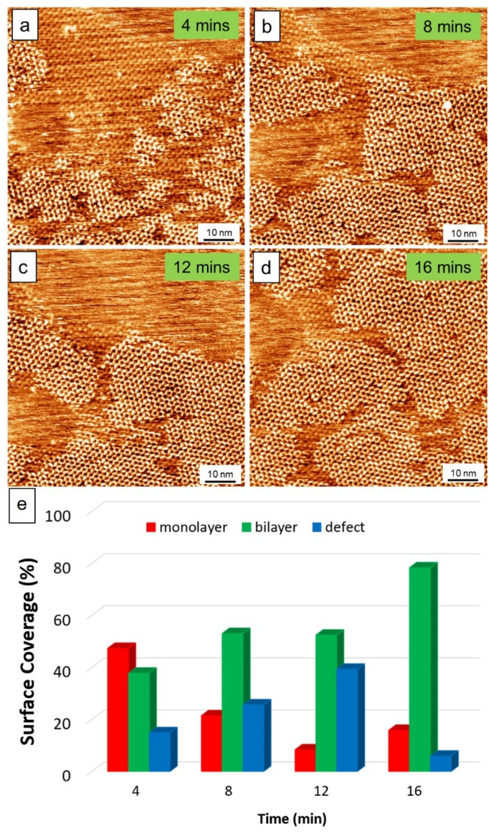 Molecules 26 07707 g002