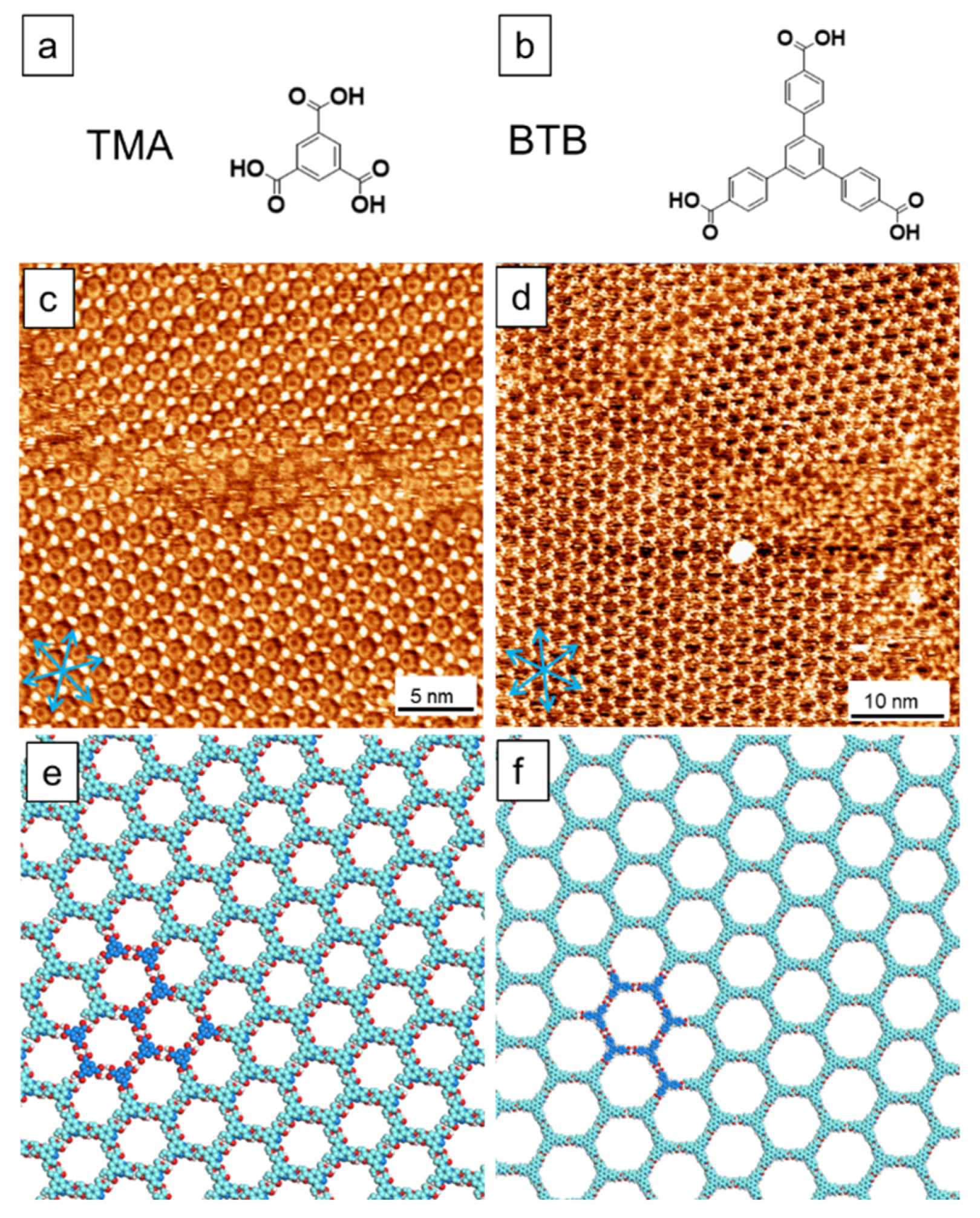 Molecules 26 07707 g003