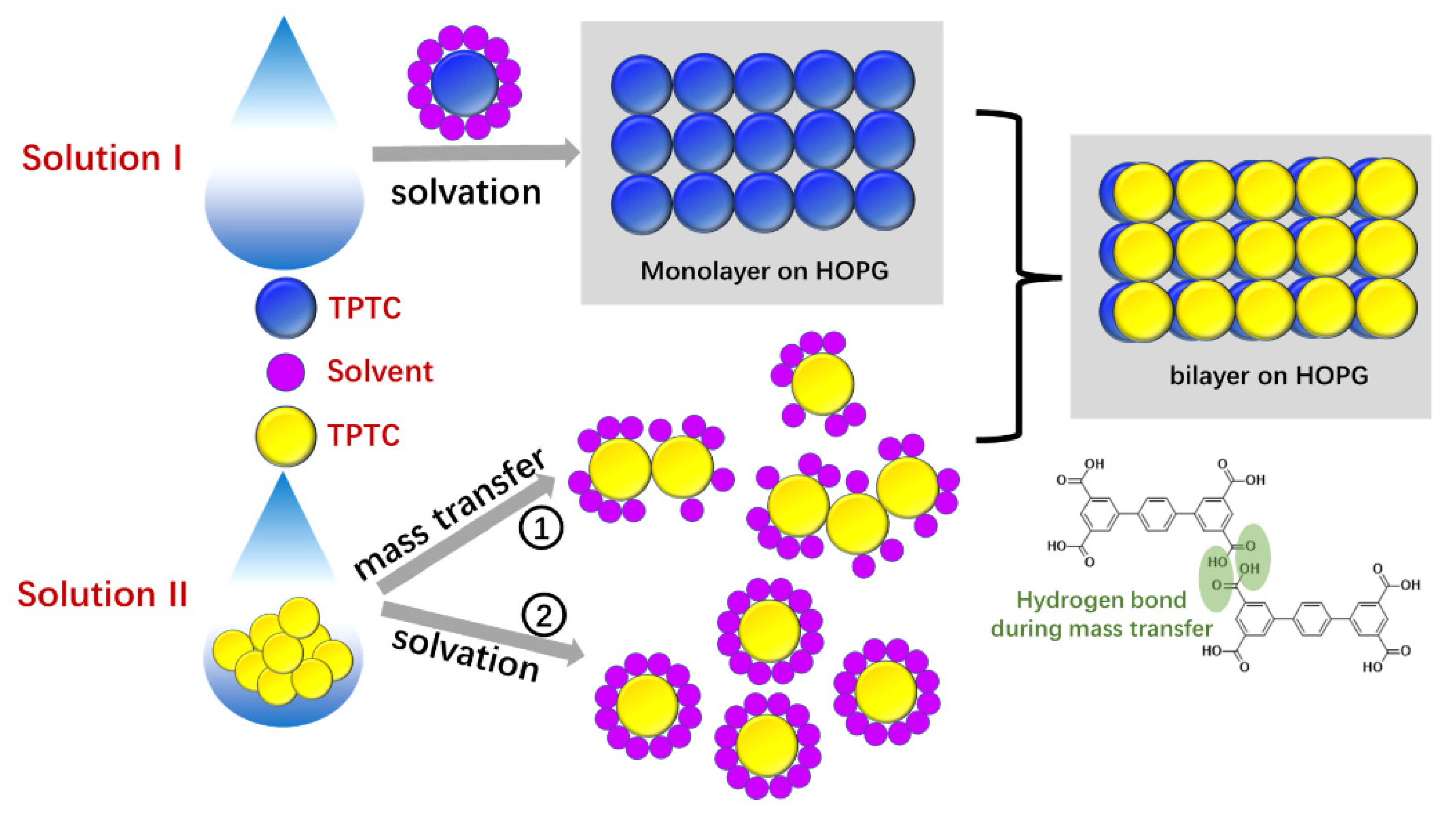 Molecules 26 07707 sch002