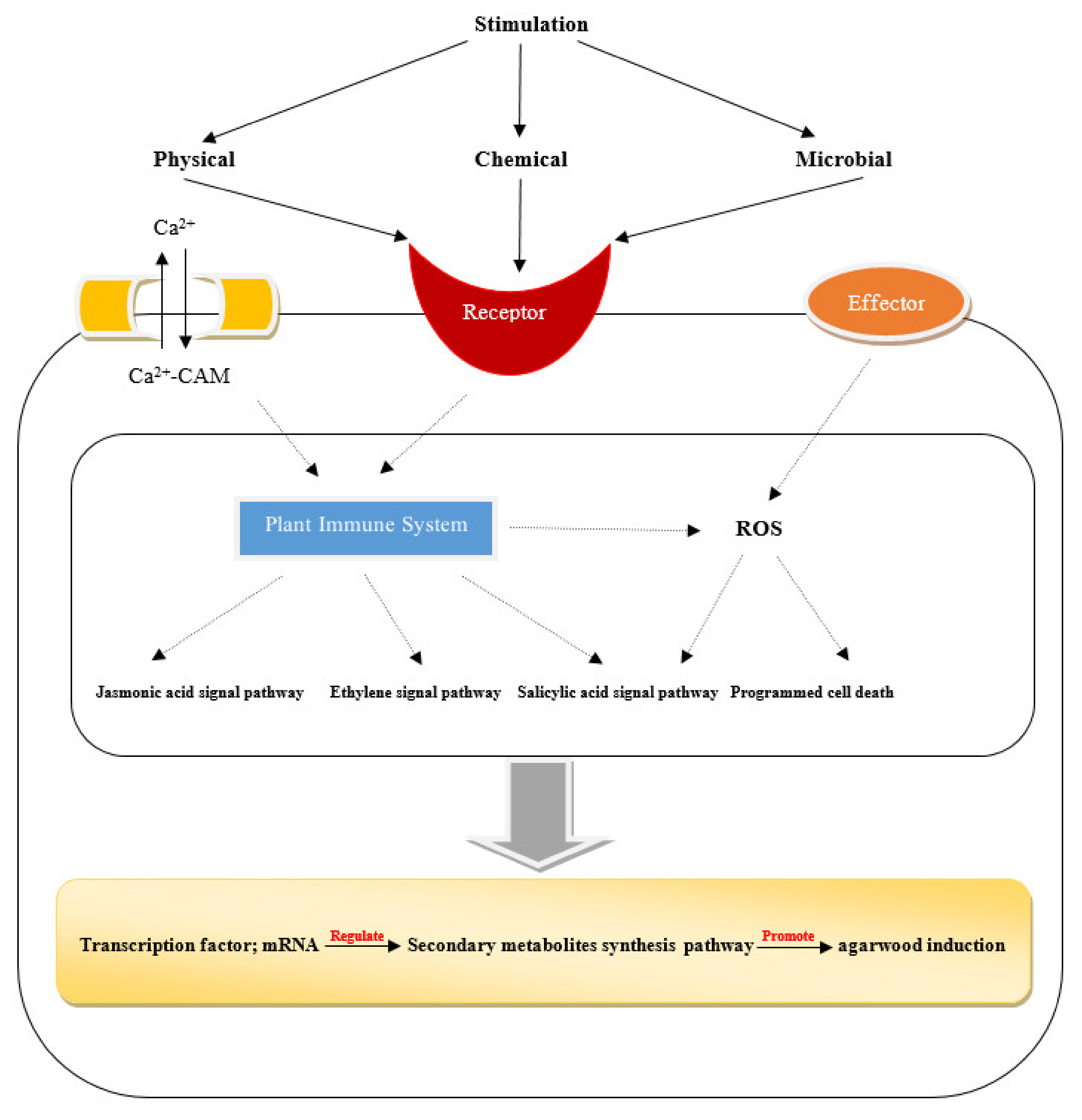Molecules 26 07708 g003 Molecules 26 07708 g003
