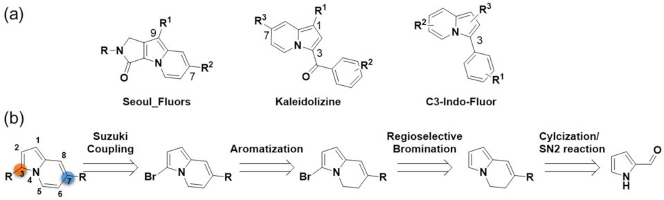 Molecules 27 00012 g001 550