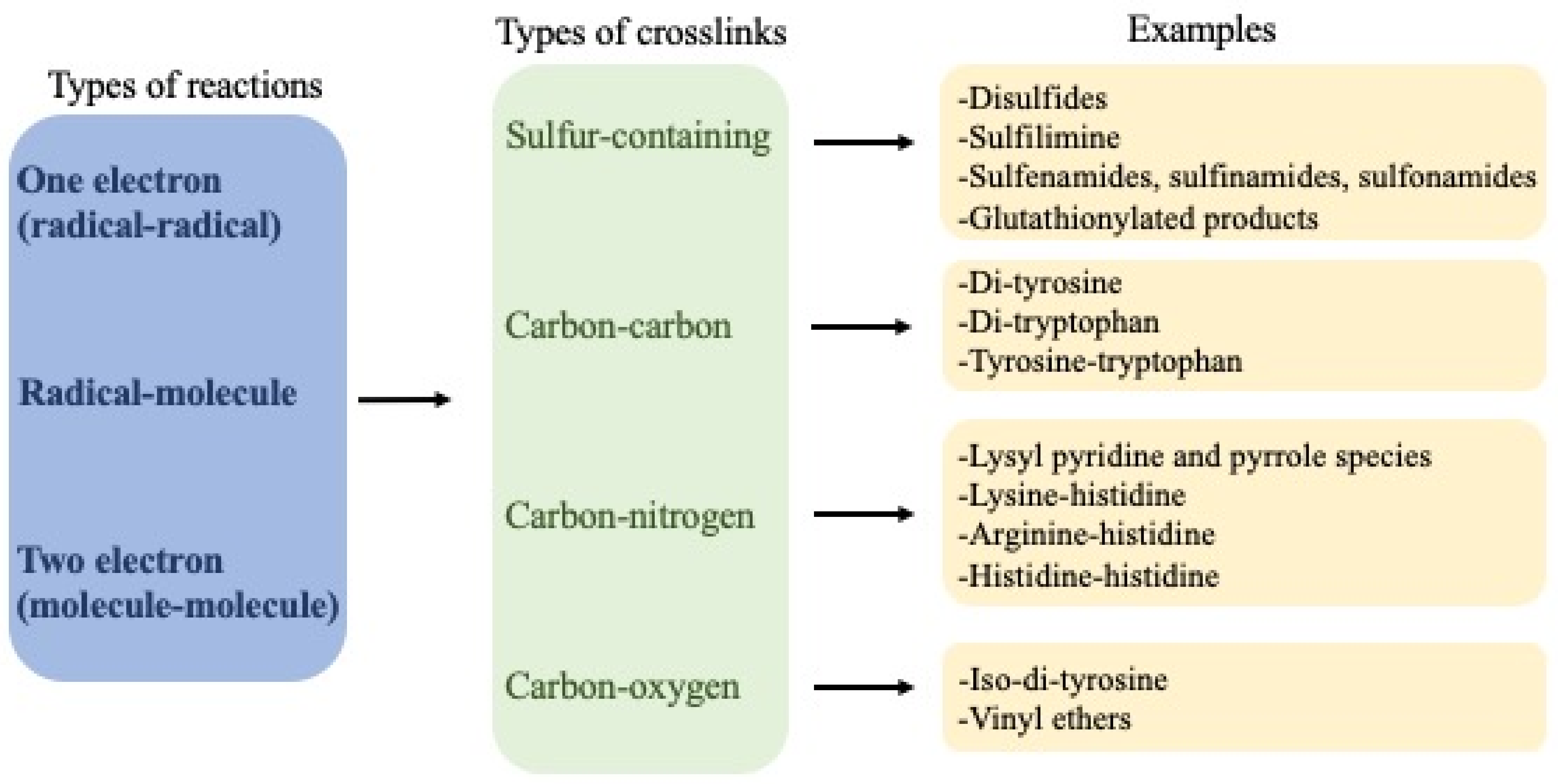 Molecules 27 00015 g001