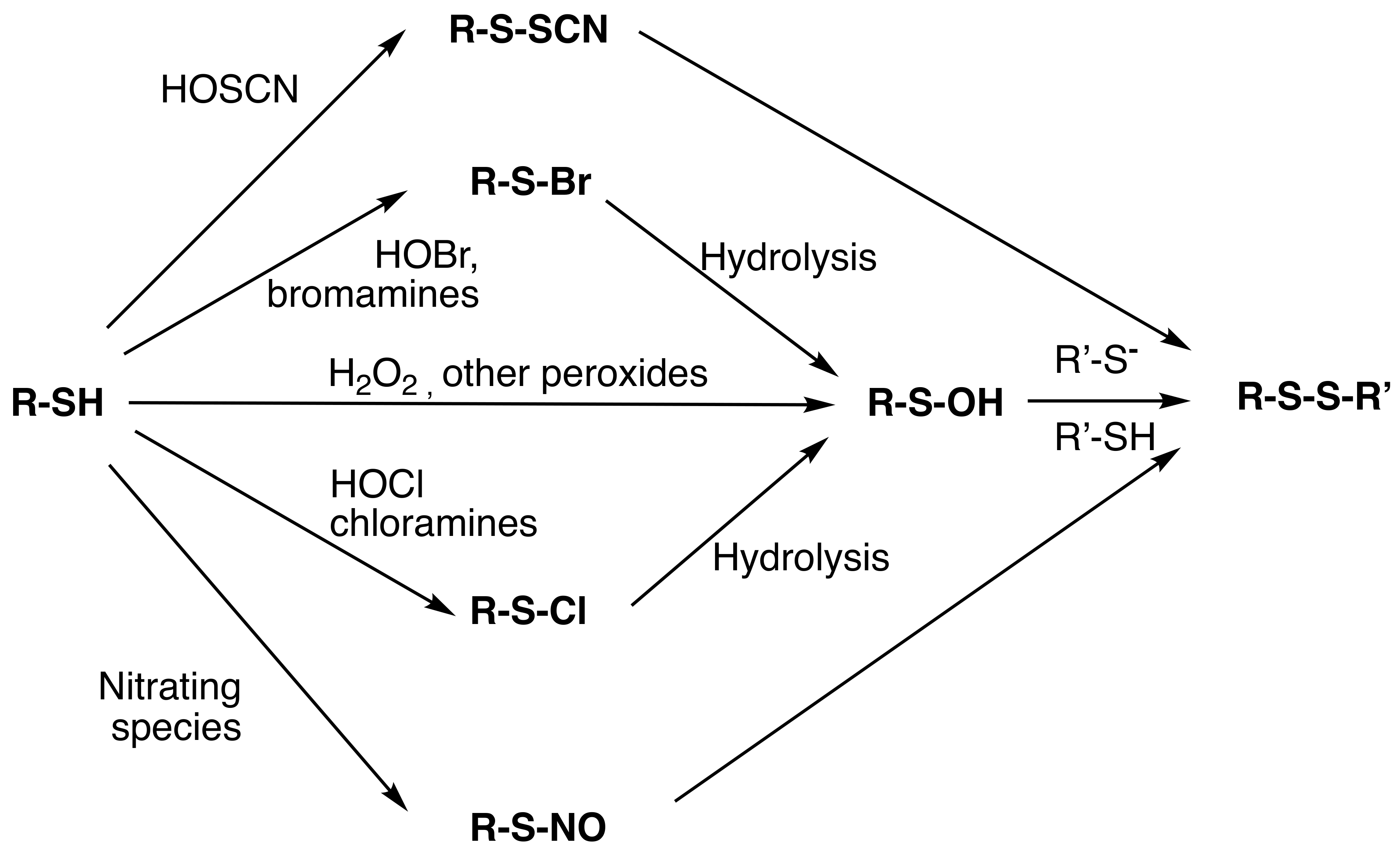 Molecules 27 00015 g003