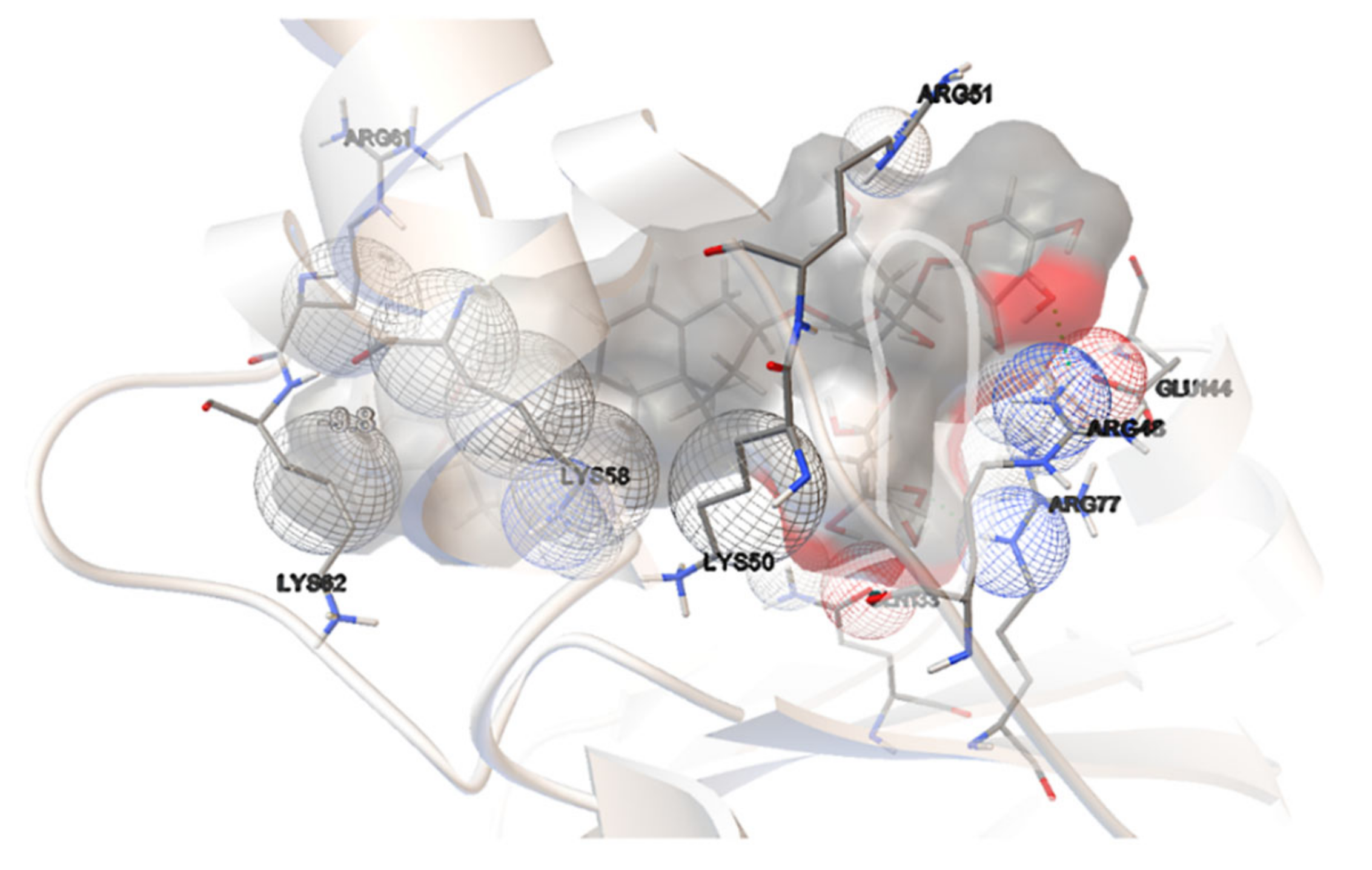 Molecules 27 00020 g008 Molecules 27 00020 g008