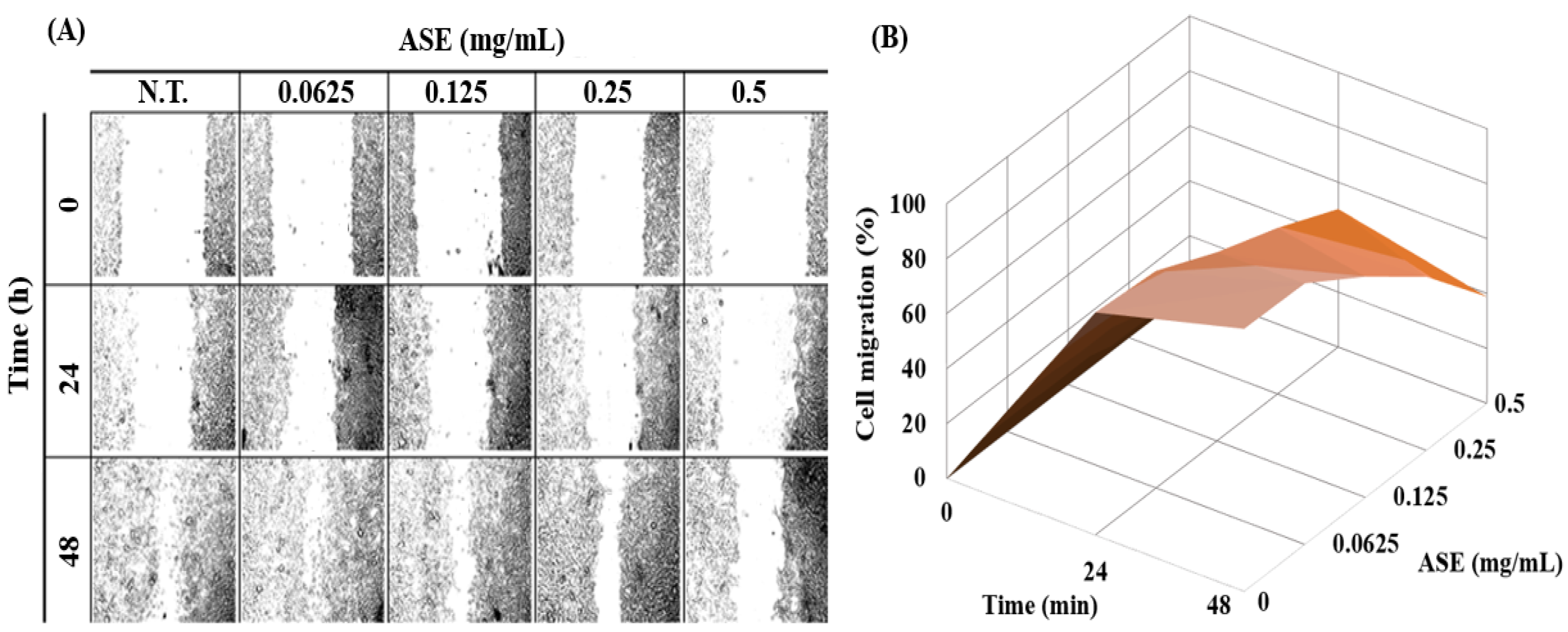 Molecules 27 00021 g002 550